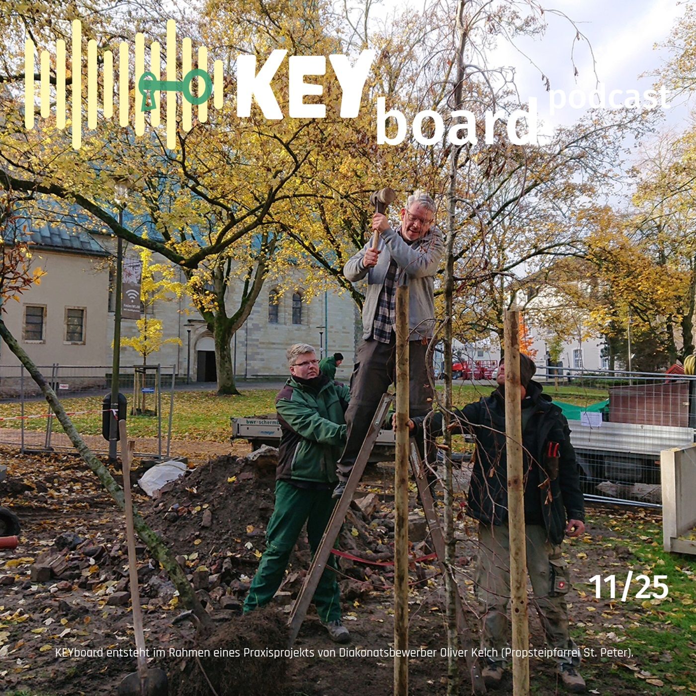 Trauerbuche vor St. Peter - Hütte der guten Taten - Weihnachtsbaumverkauf