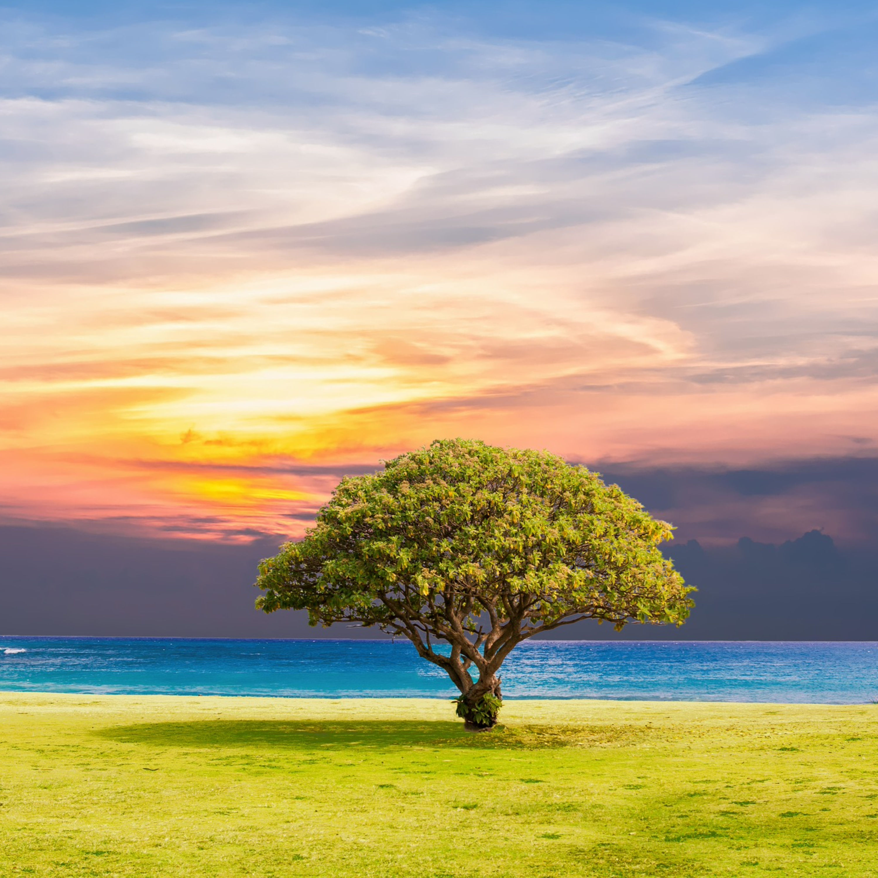 Traumreise Bunter Horizont