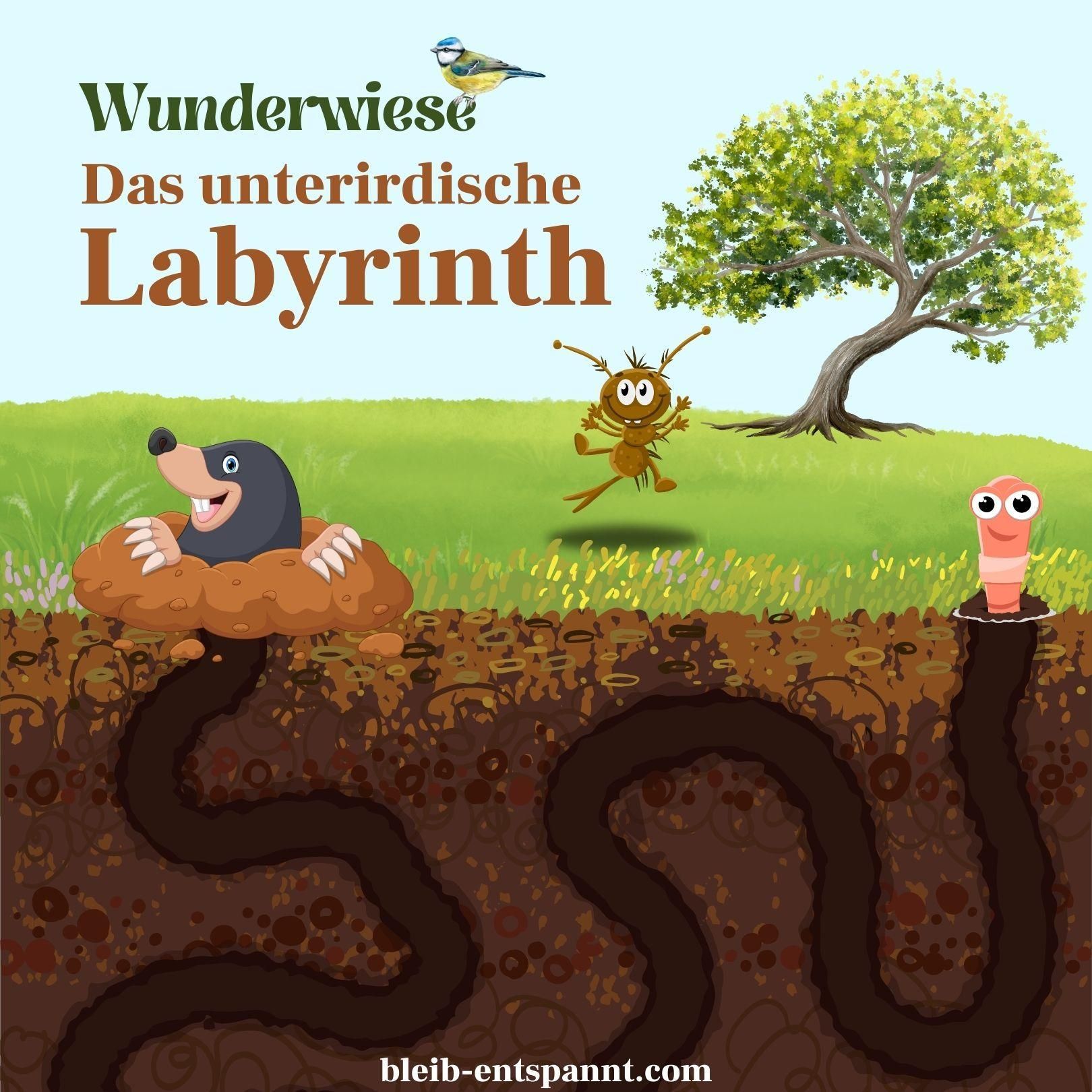 Traumreise für Kinder - Wunderwiese: Das unterirdische Labyrinth - Regenwurmgeschichte