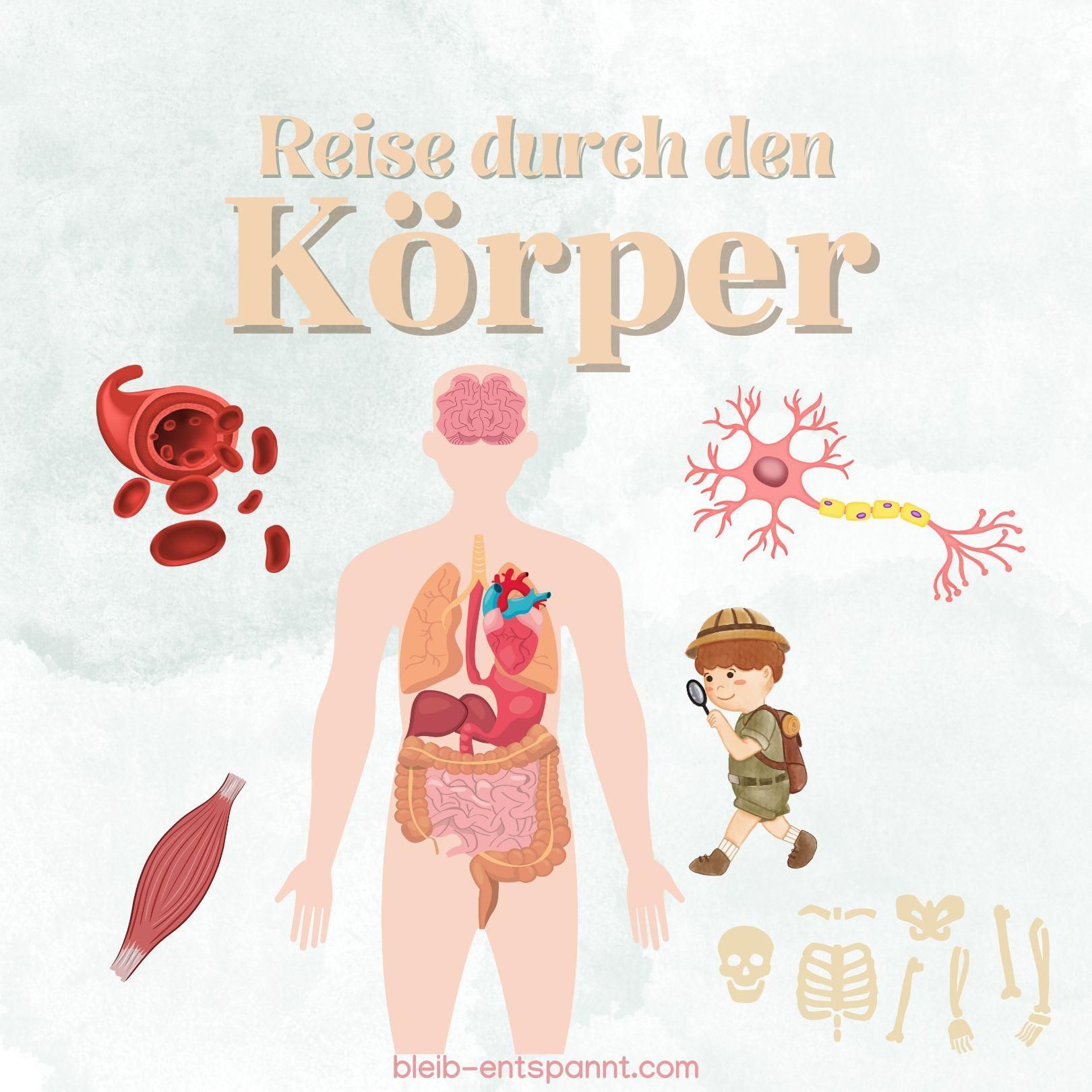 Traumreise für Kinder zum Einschlafen - Reise durch den Körper - Kindern erklärt