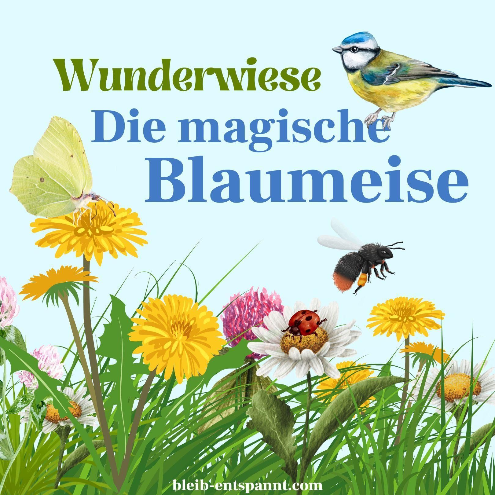 Traumreise für Kinder zum Einschlafen - Wunderwiese: Die magische Blaumeise - Insekten Geschichte mit Schmetterling