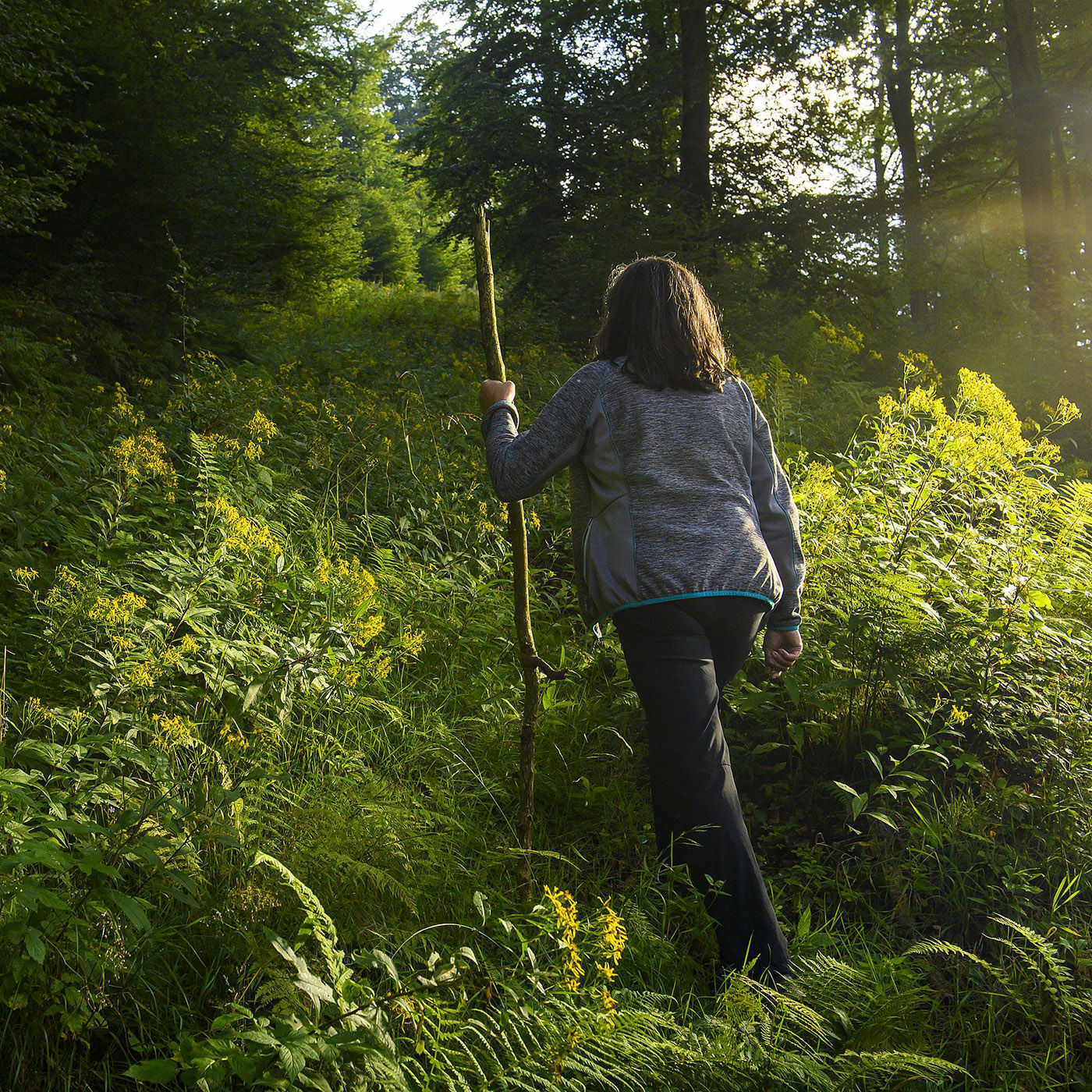 Trimm-dich-Pfade für die Seele – Meditationswege in Hessen