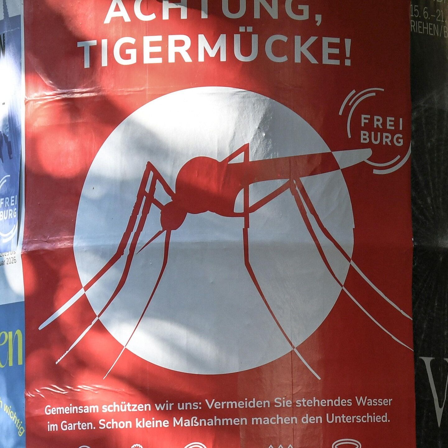 Tropenkrankheit ohne Tropen