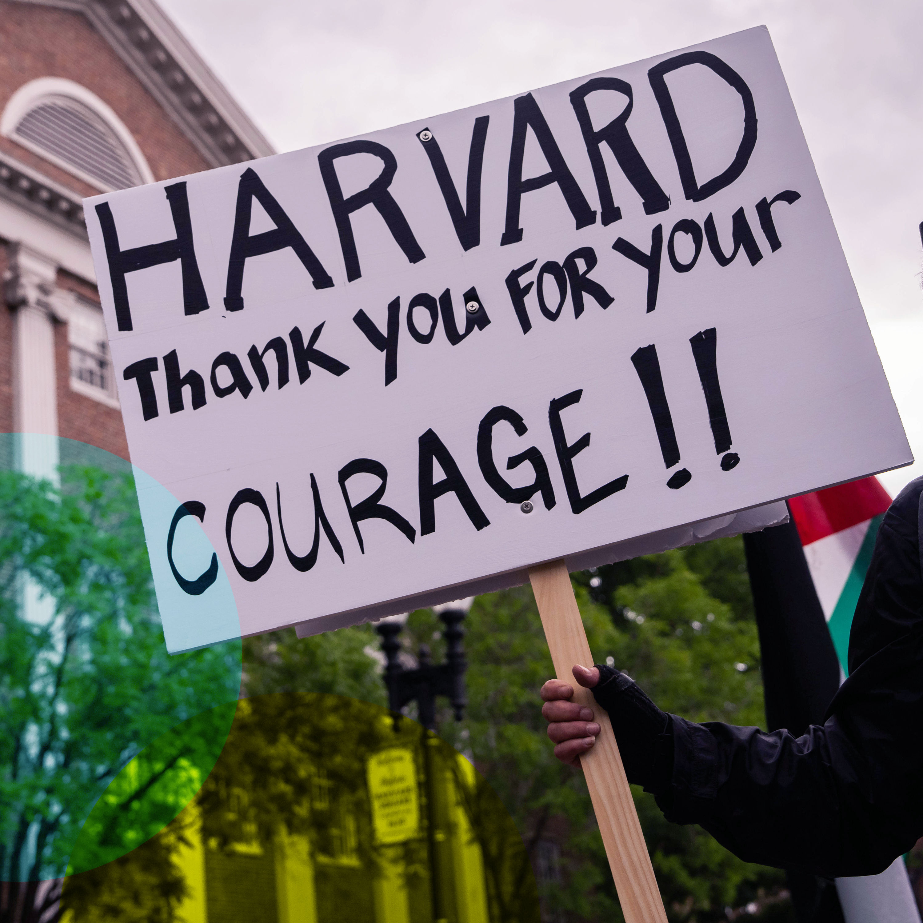 Trump vs. Harvard: Wo bleibt die Freiheit der Wissenschaft?