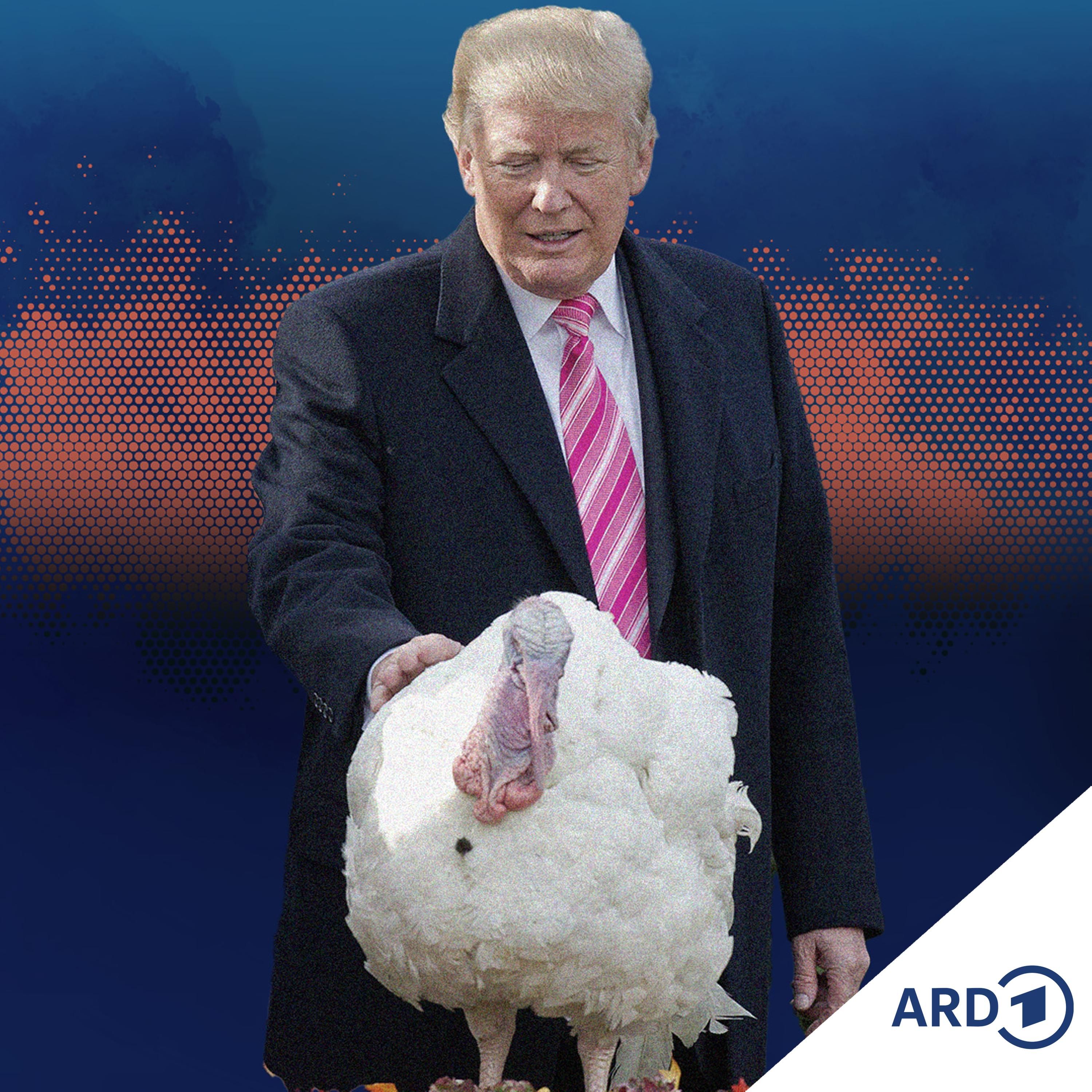 Truthahn, Trump und TV-Moderatoren