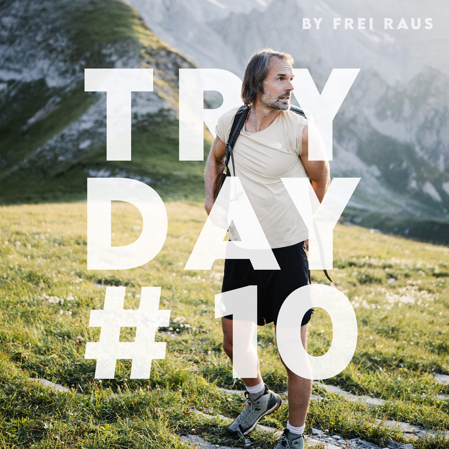 Tryday #10 – ein Whistleblower und drei arme Rehe