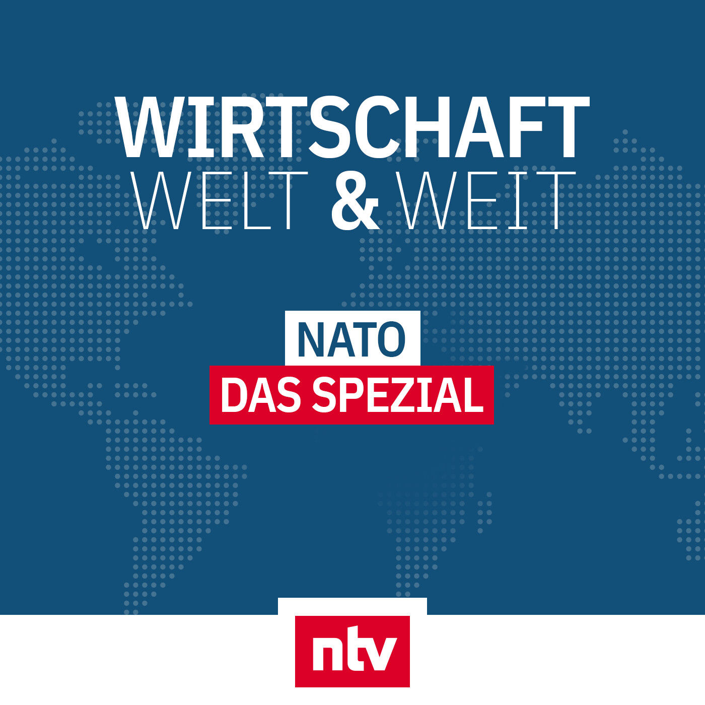 Türkei und Ungarn: Wieviel Macht haben Putins "Freunde" in der NATO?
