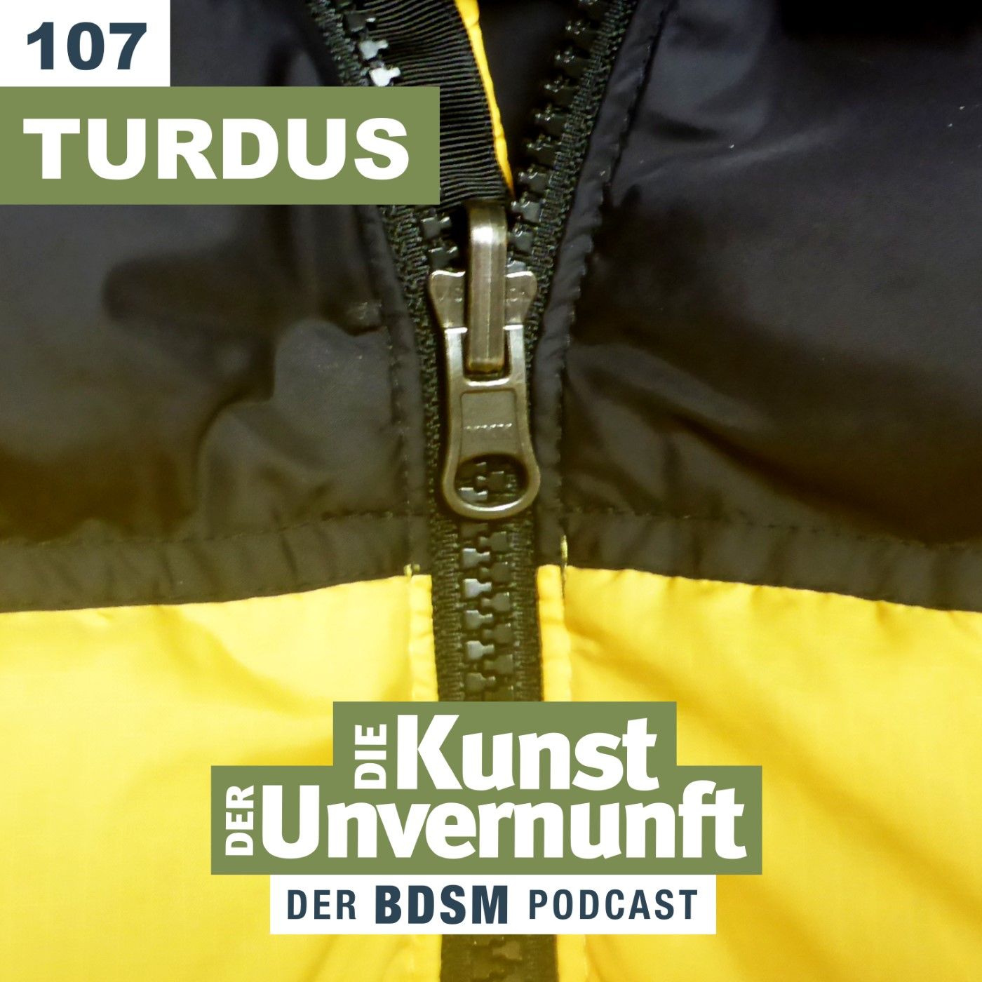Turdus - Immer der Nase nach
