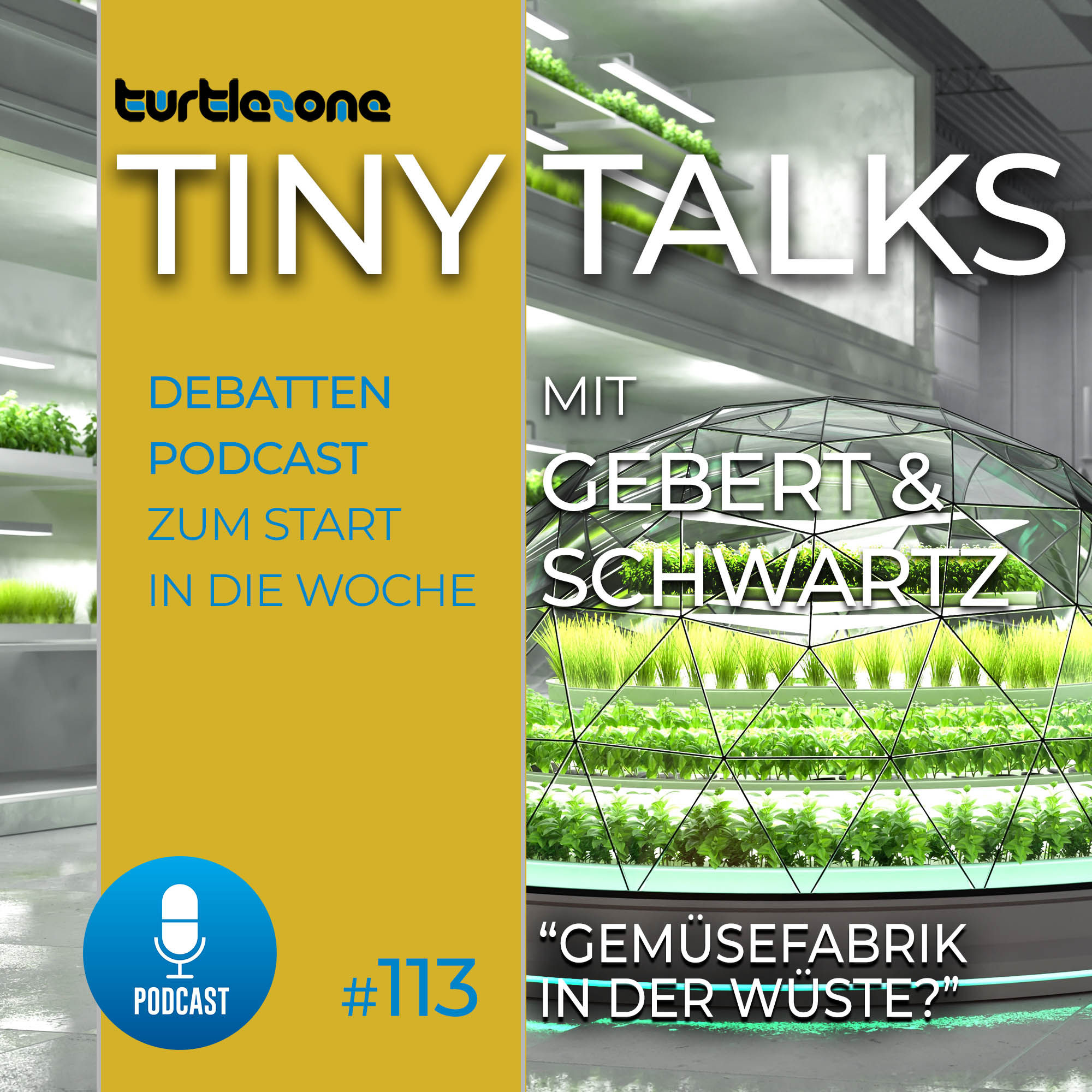 Turtlezone Tiny Talks - Gemüsefabrik in der Wüste?