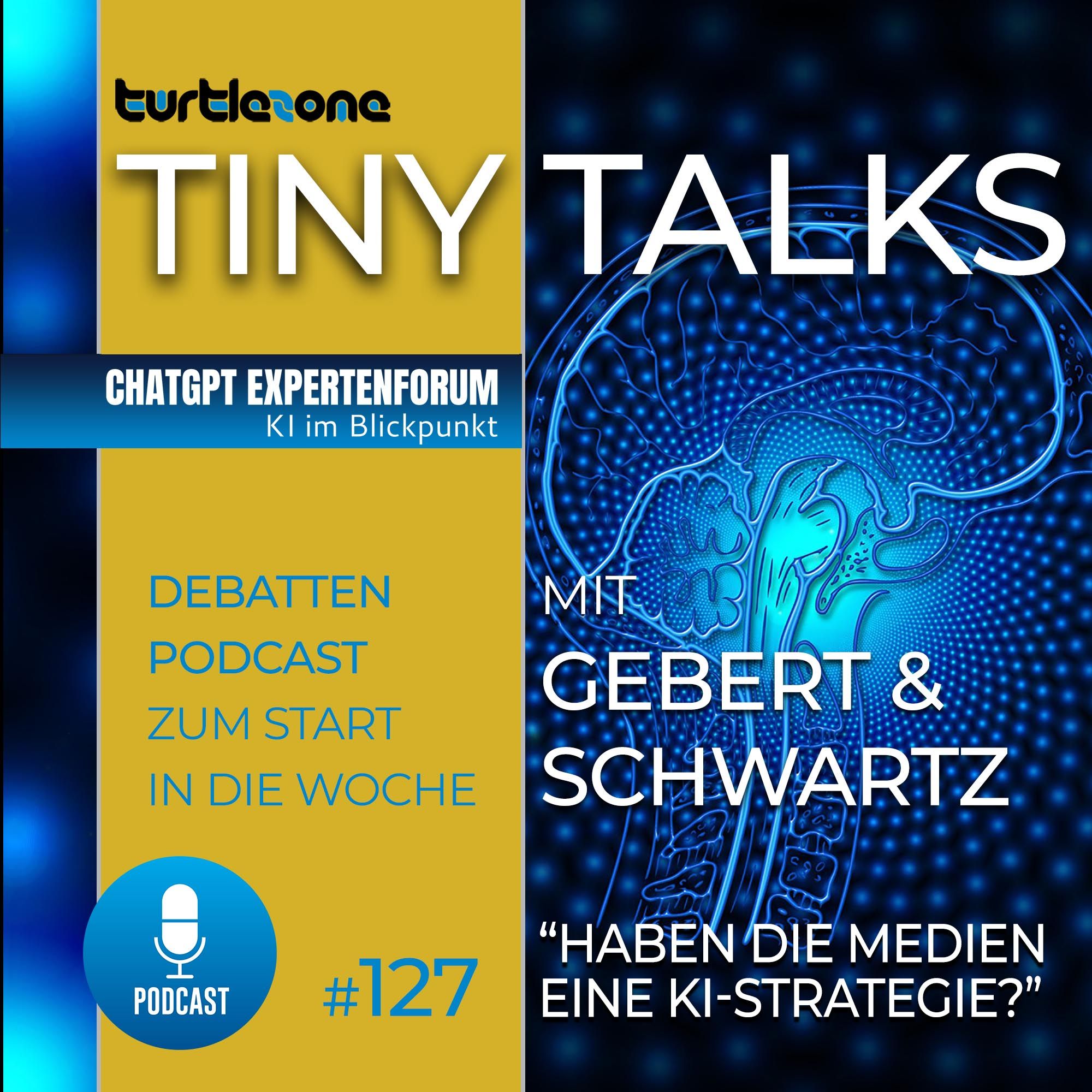 Turtlezone Tiny Talks - Haben die Medien eine KI-Strategie?