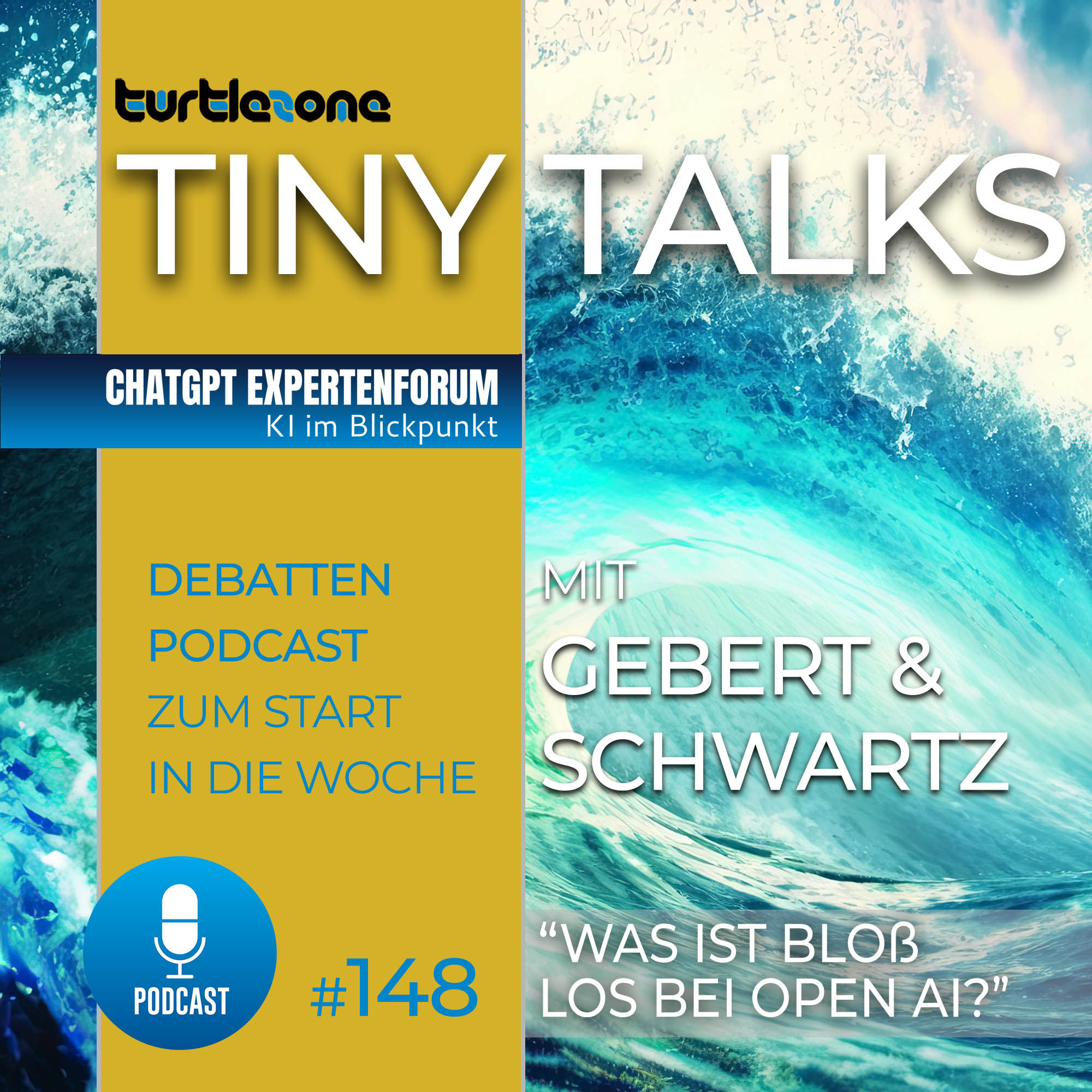 Turtlezone Tiny Talks - Was ist bloß los bei OpenAI?