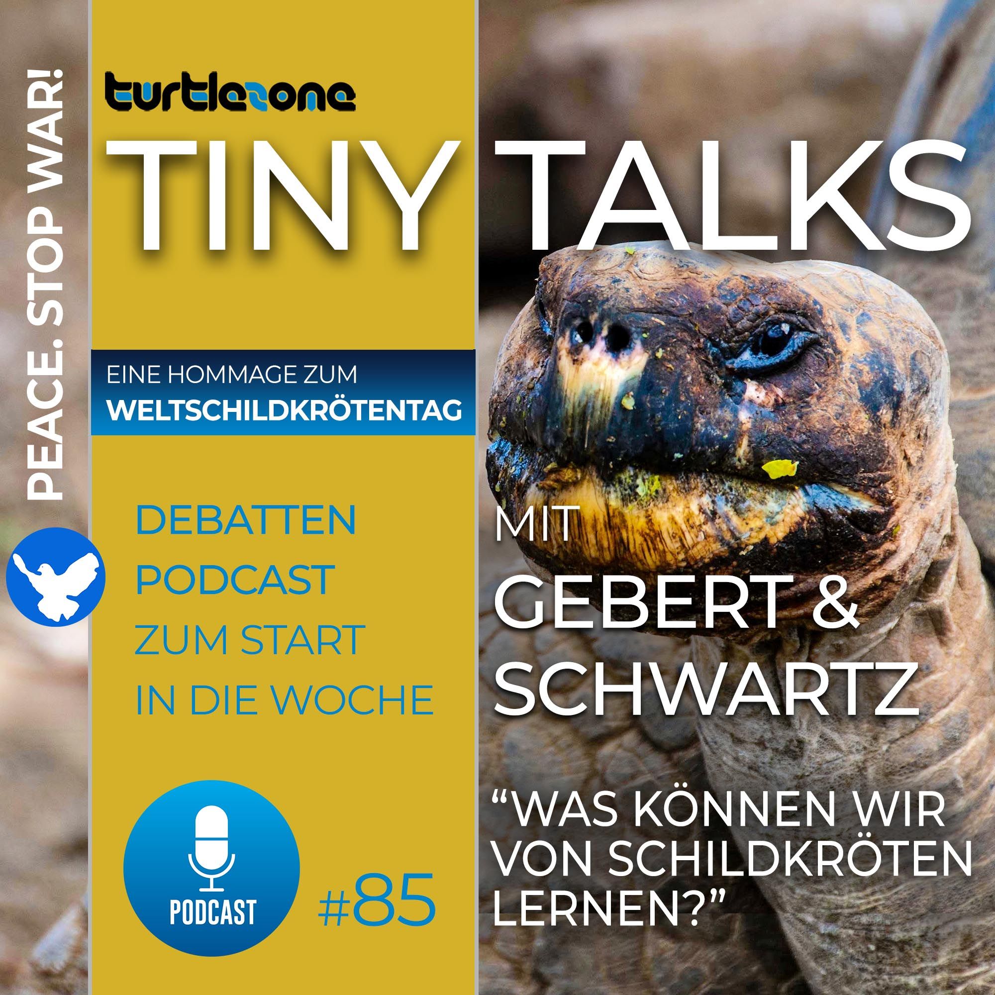Turtlezone Tiny Talks - Was können wir von Schildkröten lernen?