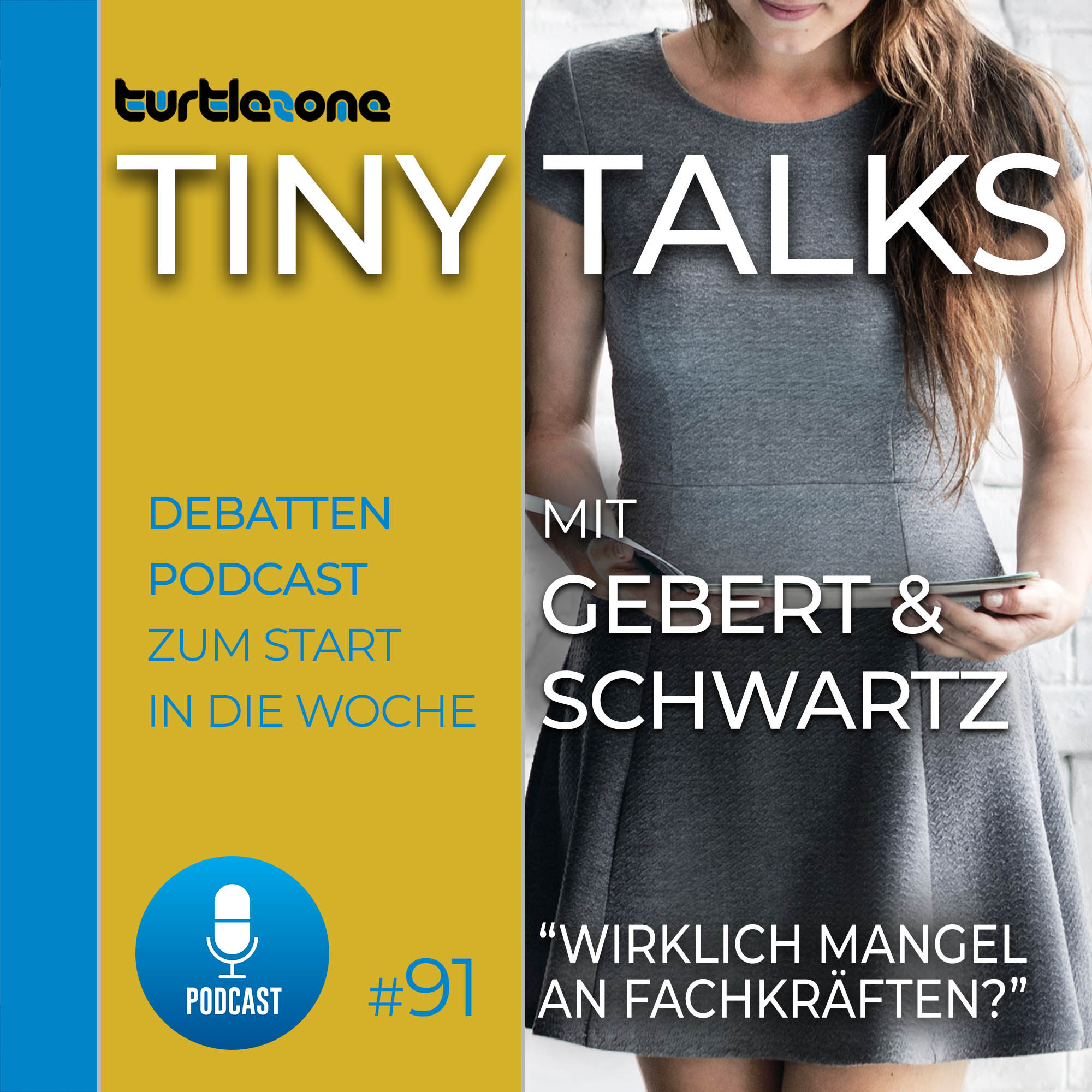 Turtlezone Tiny Talks - Wirklich Mangel an Fachkräften?