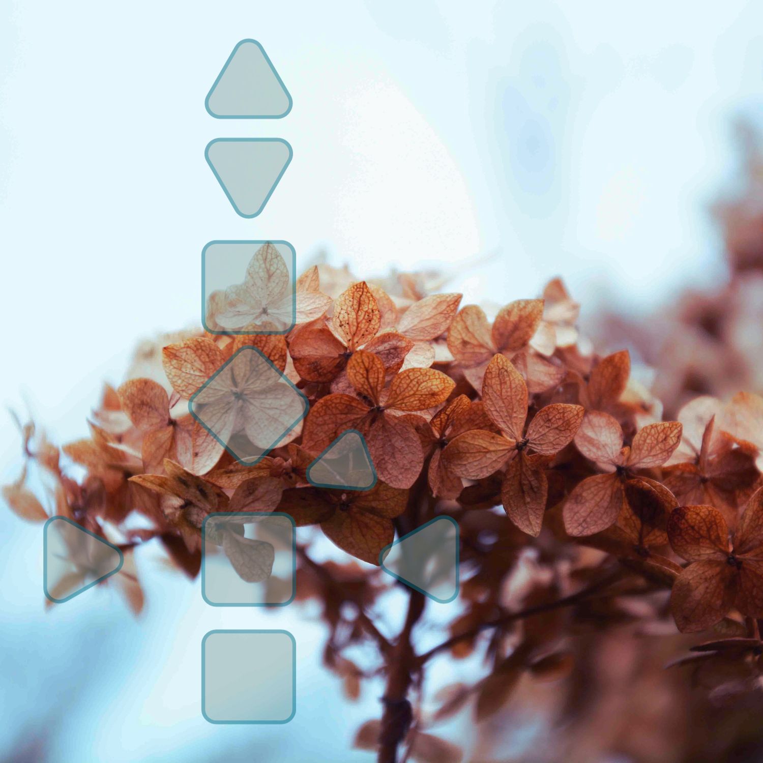 Über die Magie Deines Milz-Zentrums