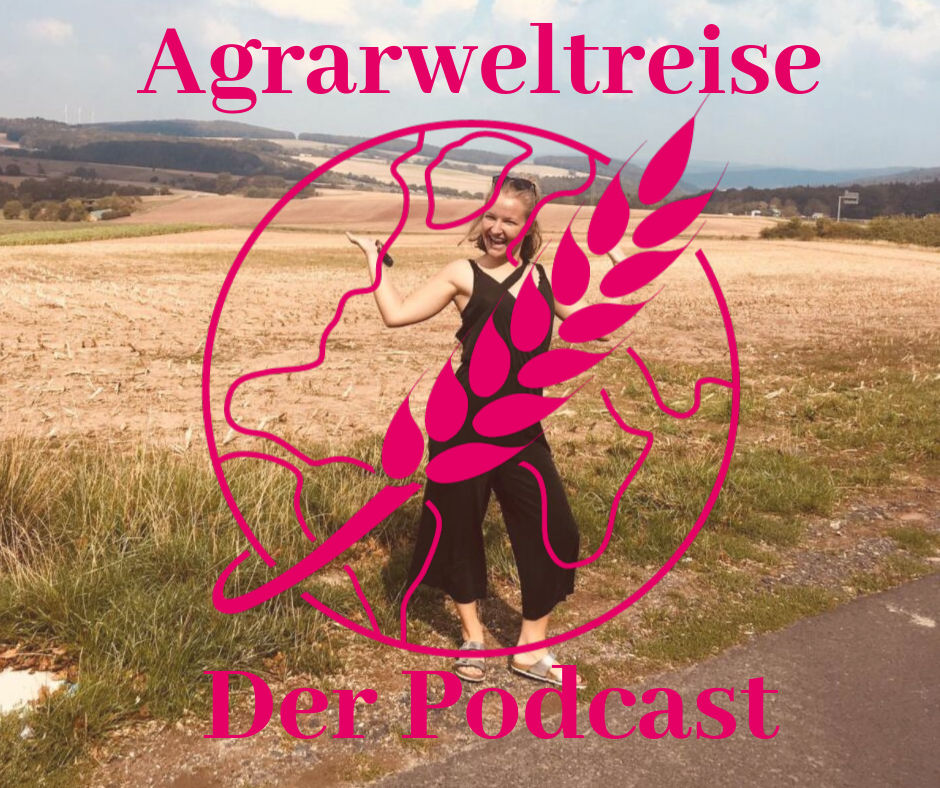 Über Visums-Uschis und Armlehnen