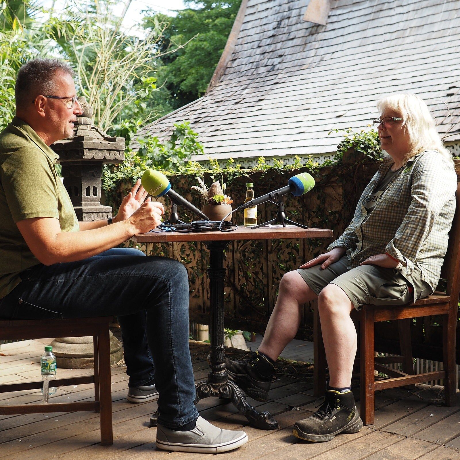 Überall und nirgends - das Zweifinger-Faultier