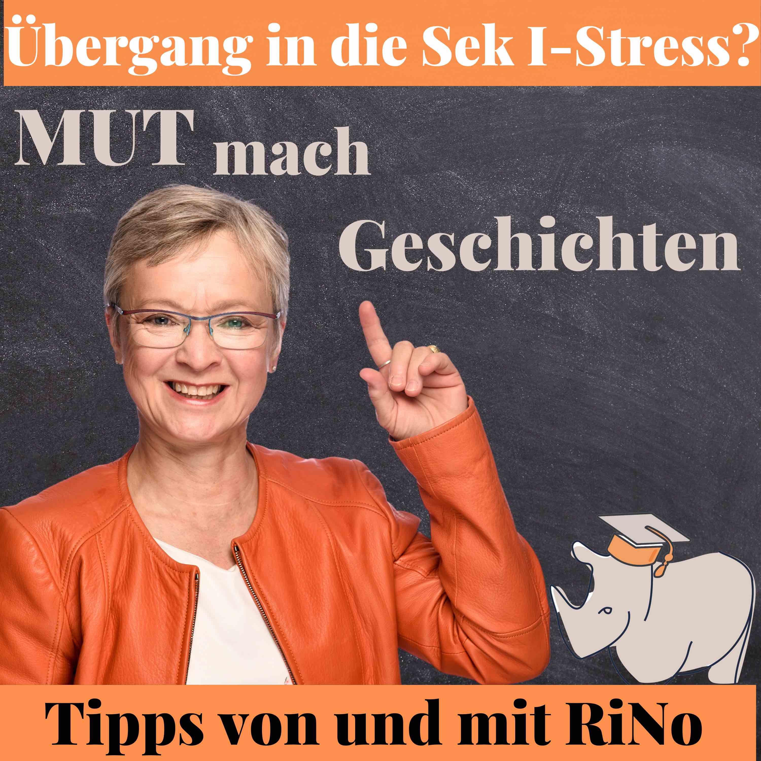 Übergang in die Sek I- Stress?