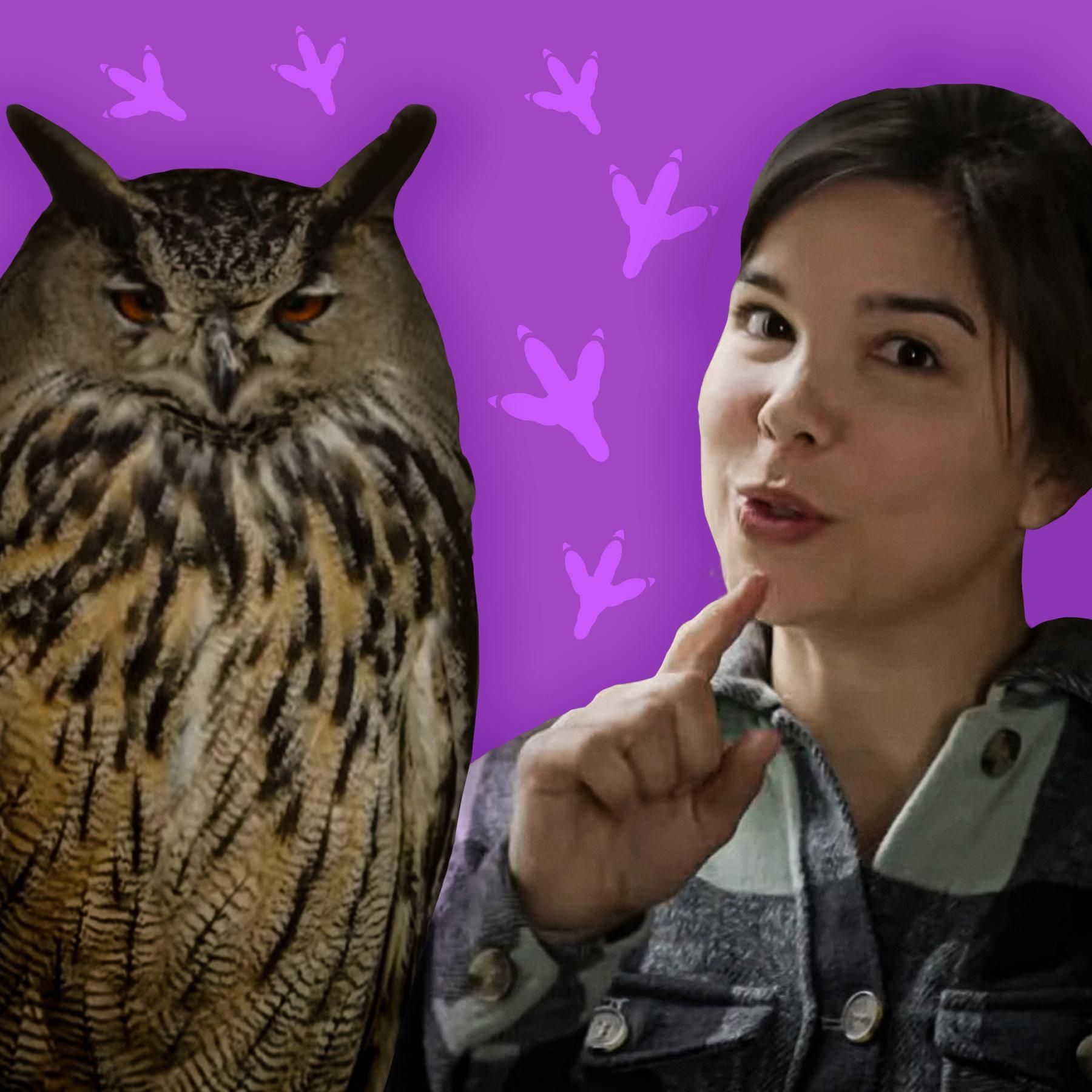 Uhus – Lautlose Jäger der Nacht