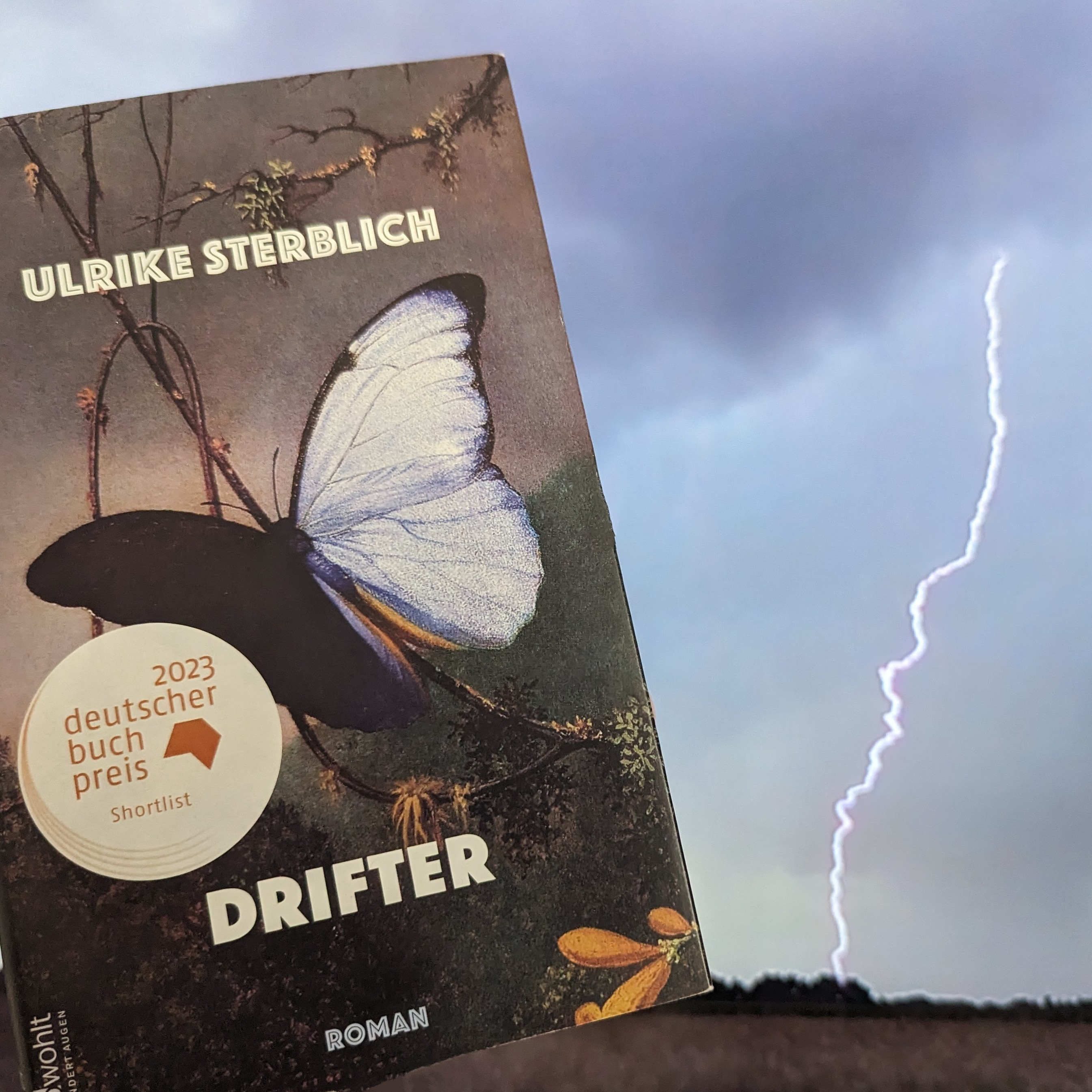 Ulrike Sterblich: Drifter