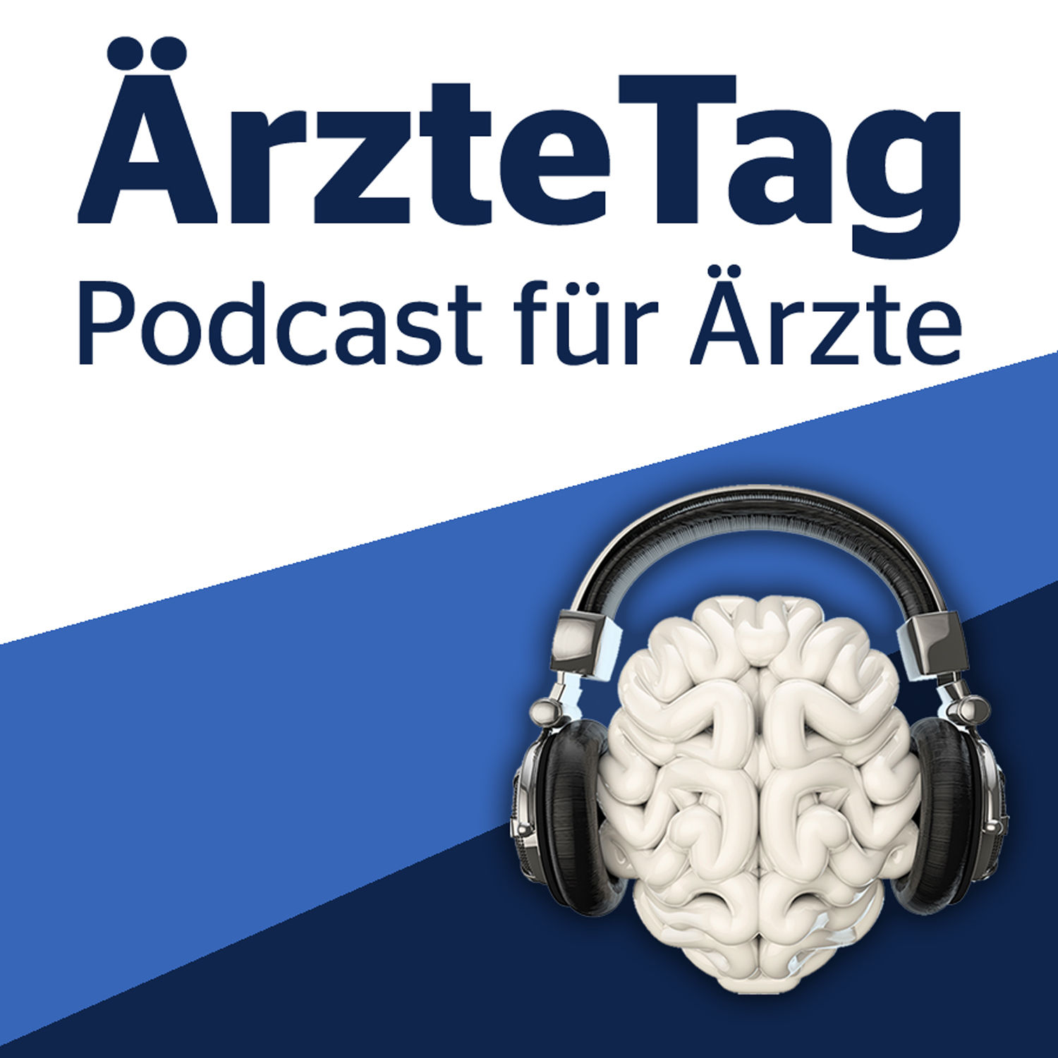 Umfrage beim Ärztetag: Welche KI-gestützten Systeme nutzen Sie?