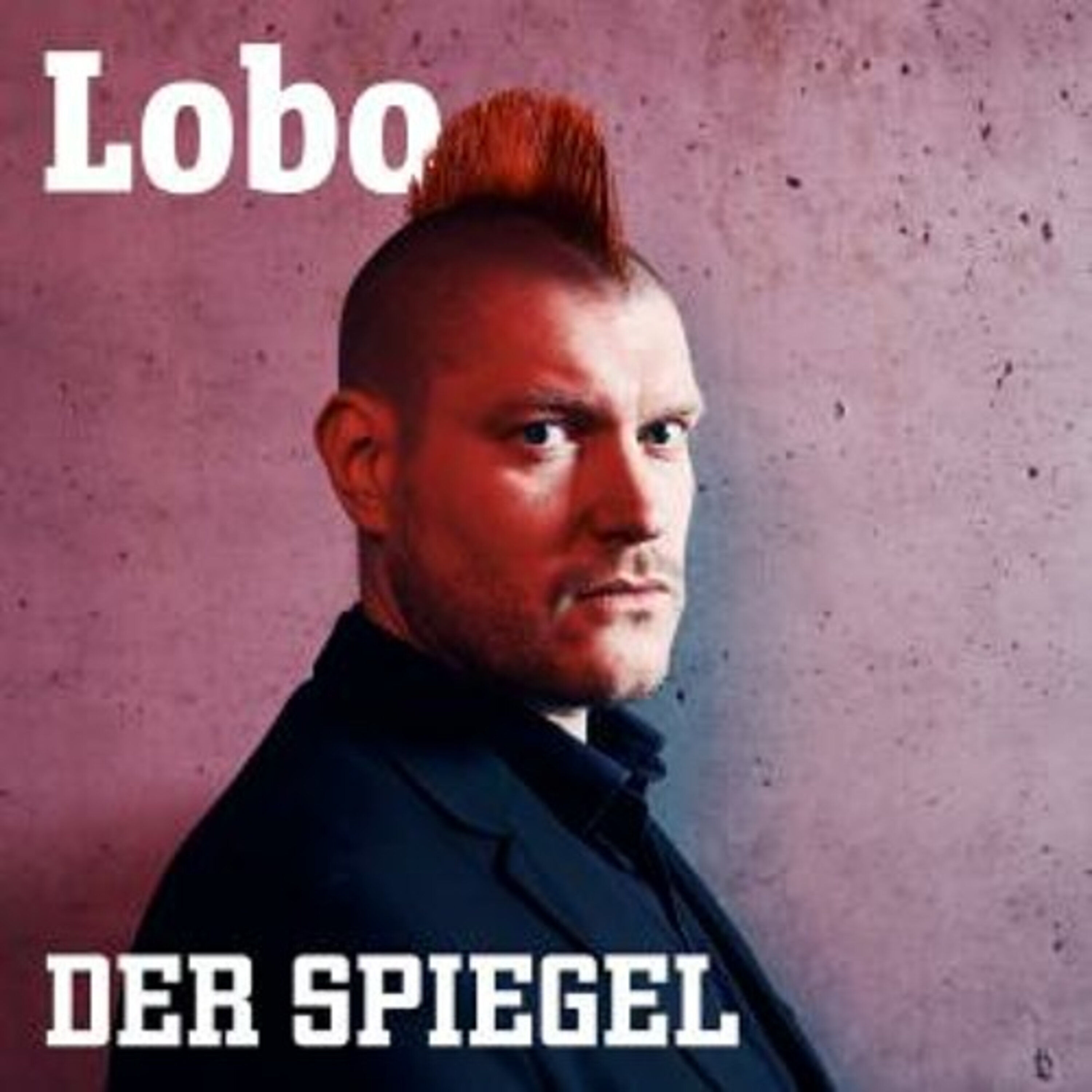 Umgang mit Faschisten und ihren Wählern