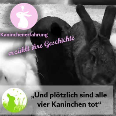 Umgang mit Haltungsfehlern