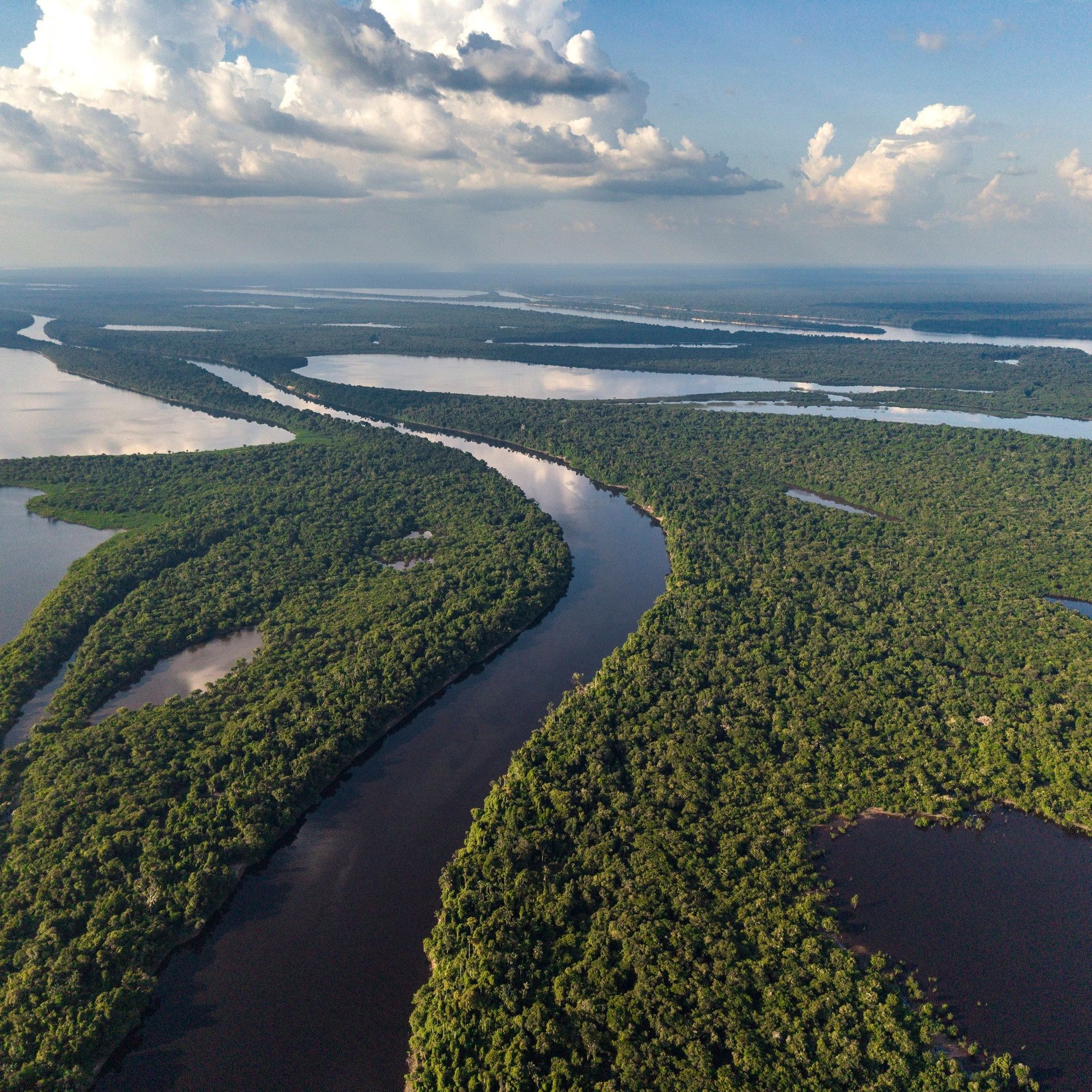 Umwelt-Proteste in Brasilien: Regierung stoppt Privatisierung am Amazonas