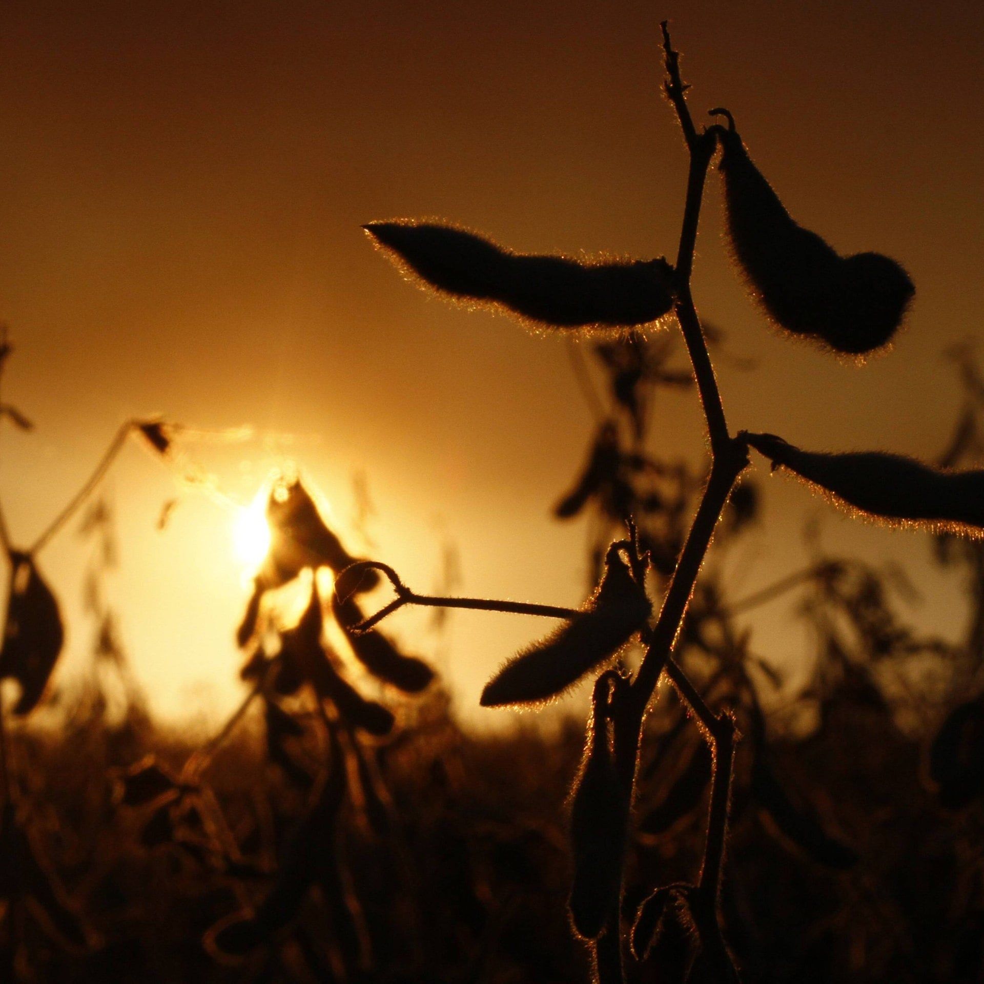 UN-Bericht zu Investitionen in Naturschutz