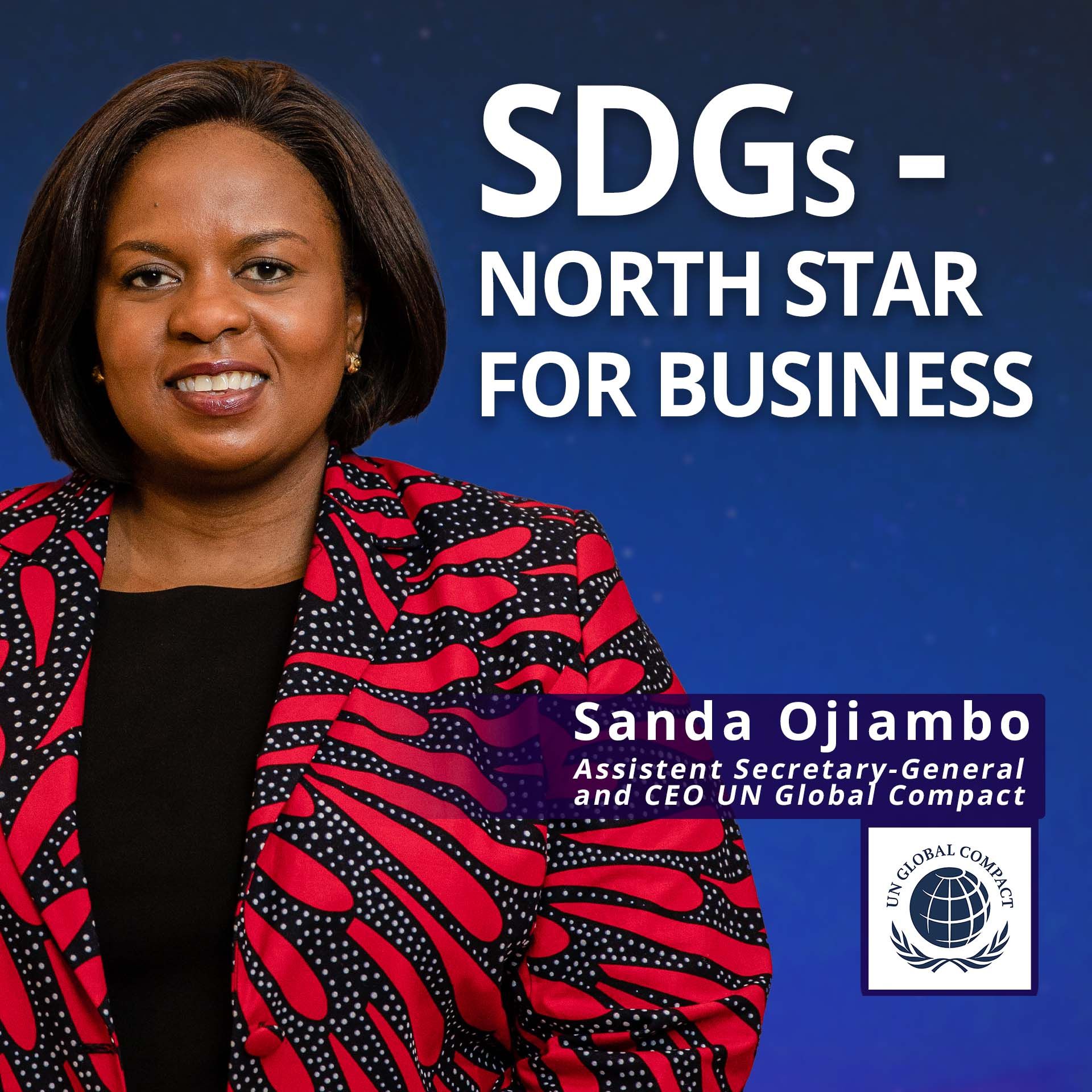 UN Global Compact: SDGs - the North Star for Business