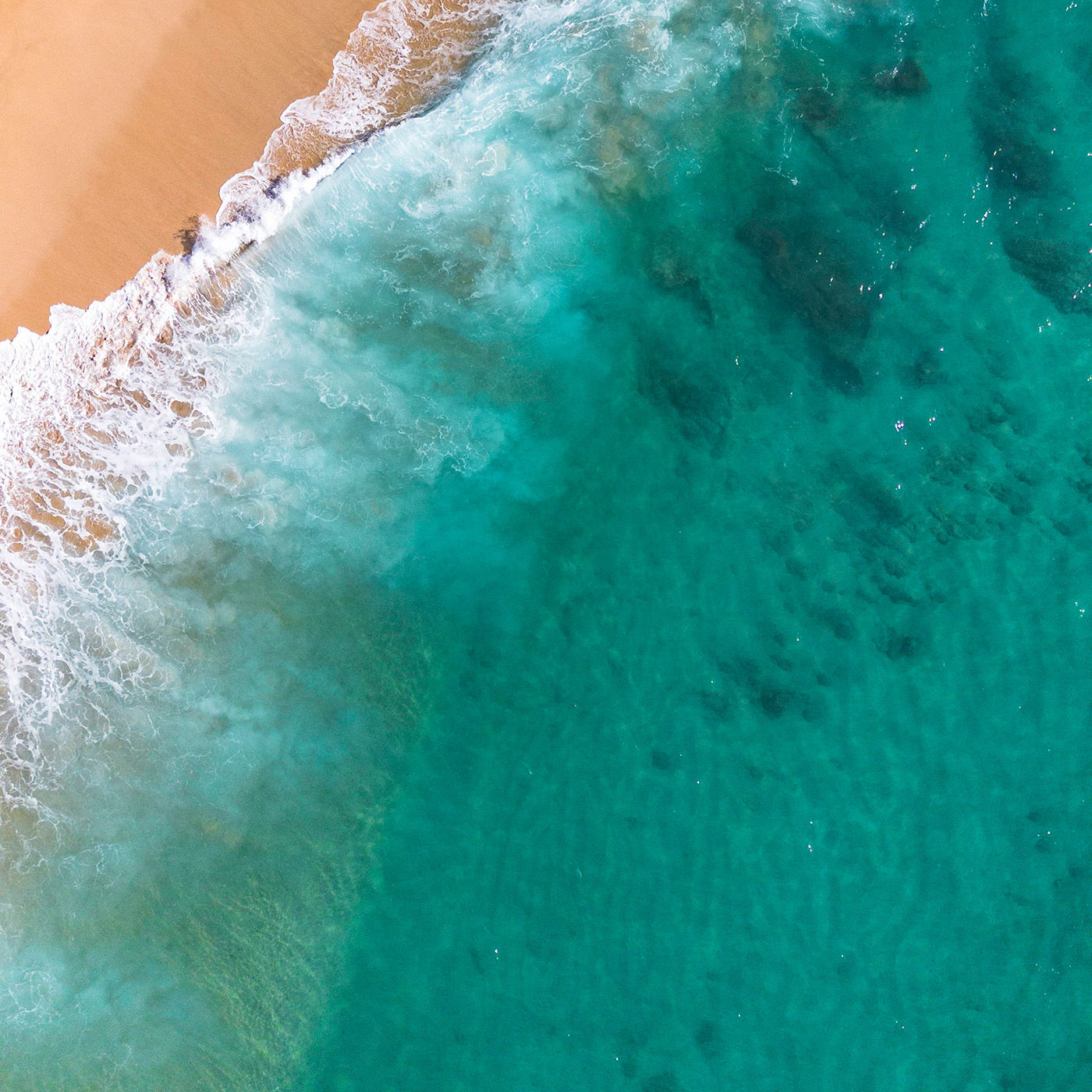 Und heute mild und morgen wild - Meeresbegegnungen und Meeresphantasien