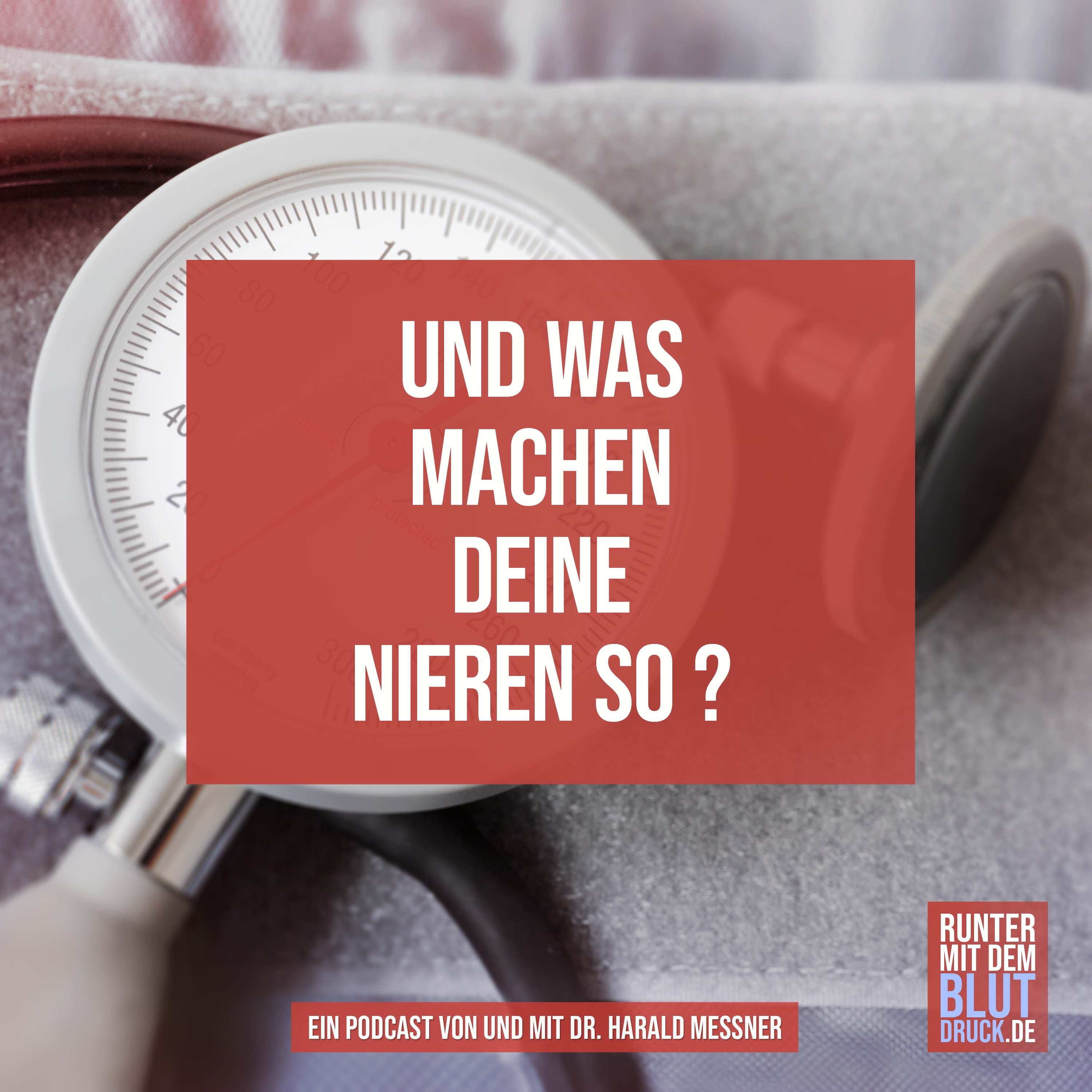 Und was machen deine Nieren so?