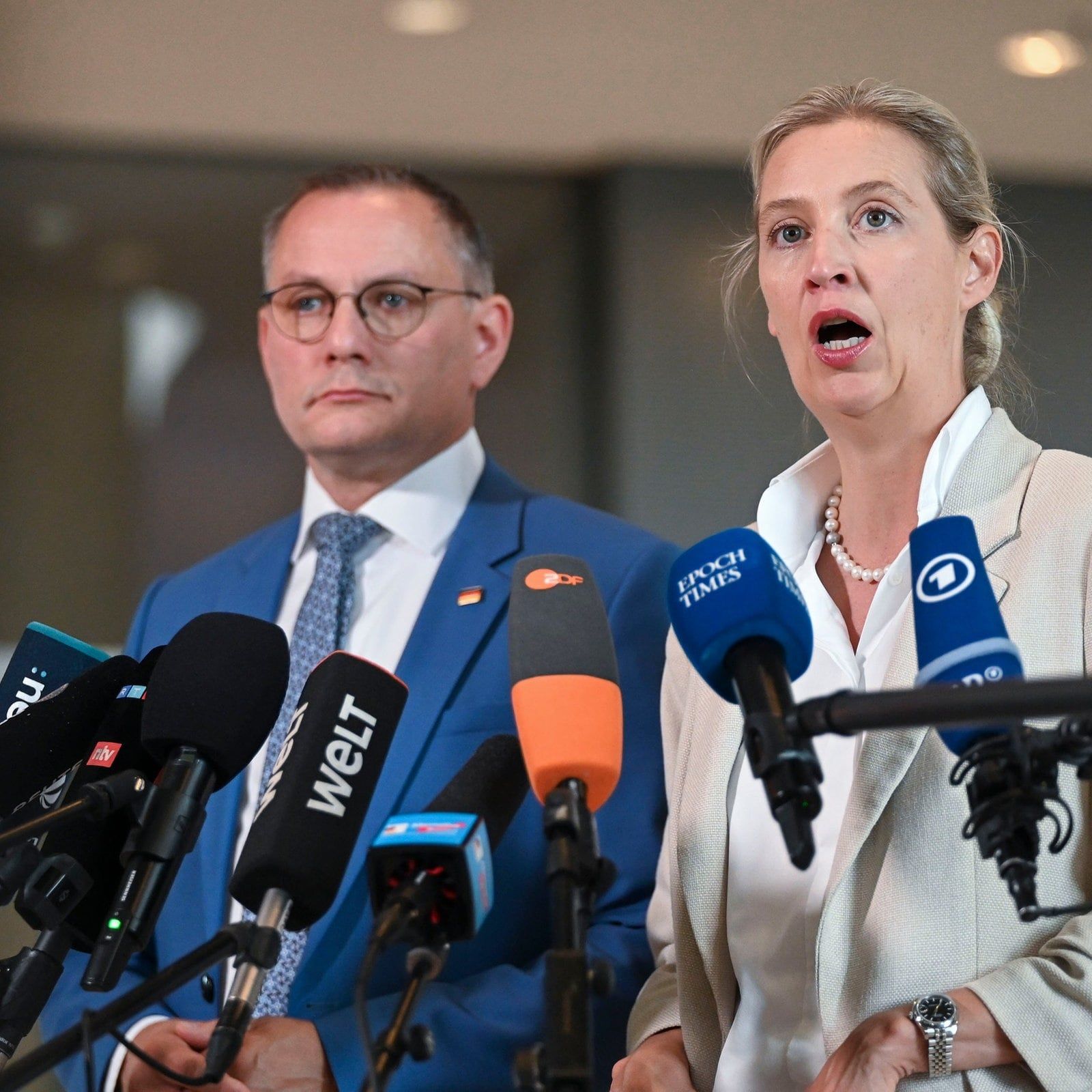Uneinigkeit an der AfD-Spitze