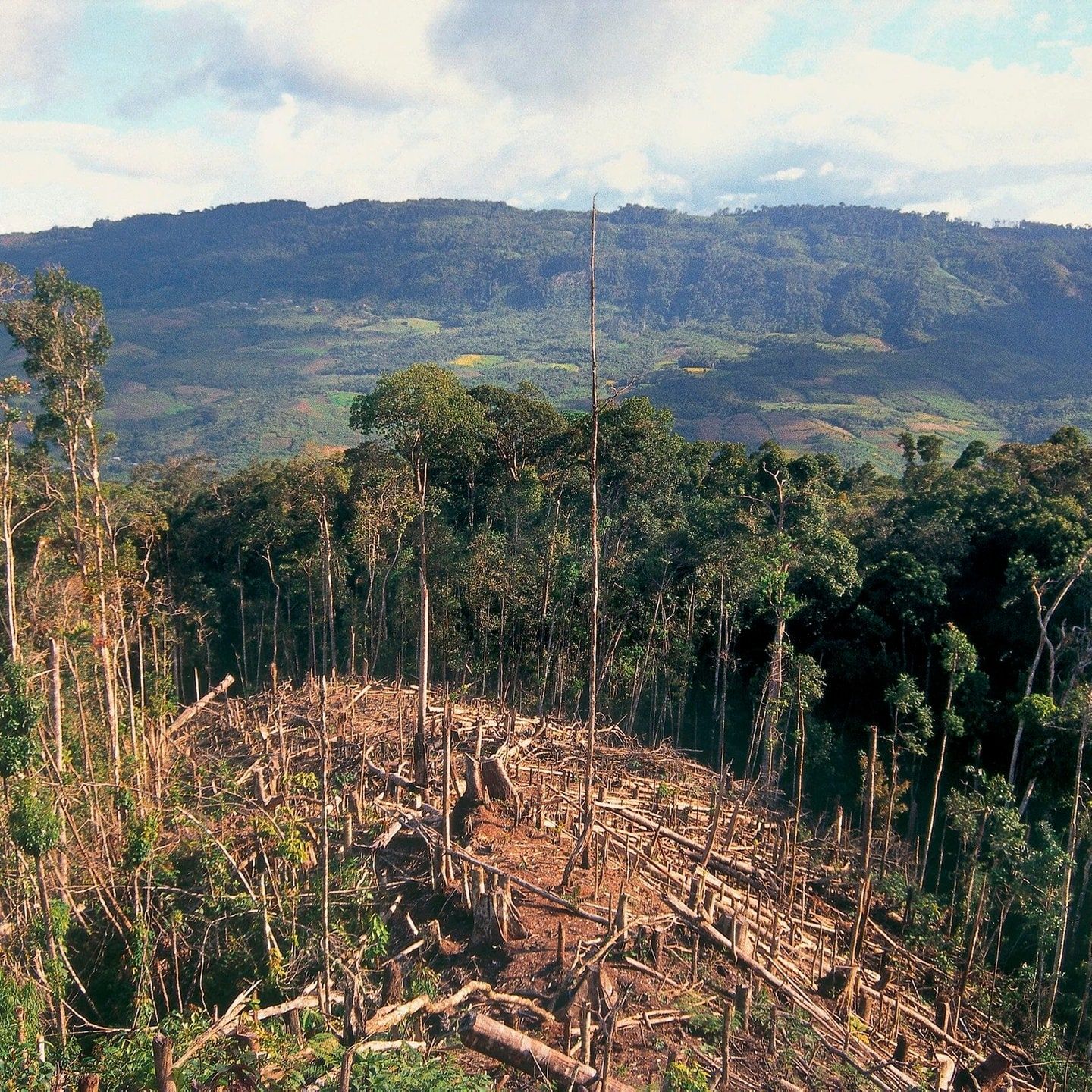 UNEP-Report: Finanzierungslücke bei Klima-Anpassungsmaßnahmen