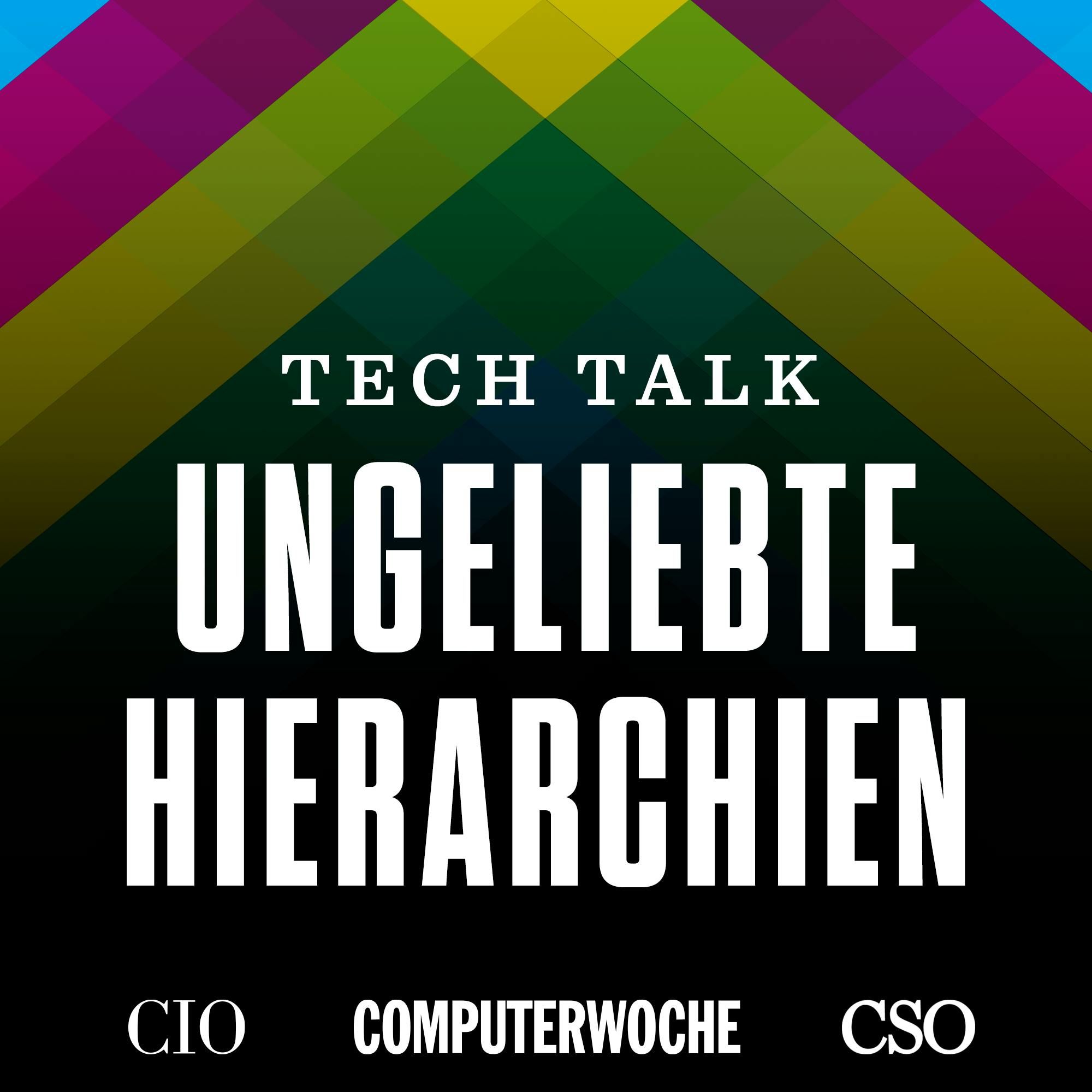 Ungeliebte Hierarchien – mit Prof. Stefan Kühl