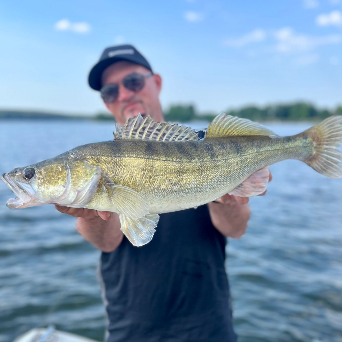 Unglaublich, aber erfolgreich: Zander im Sommer zur Mittagshitze | #125