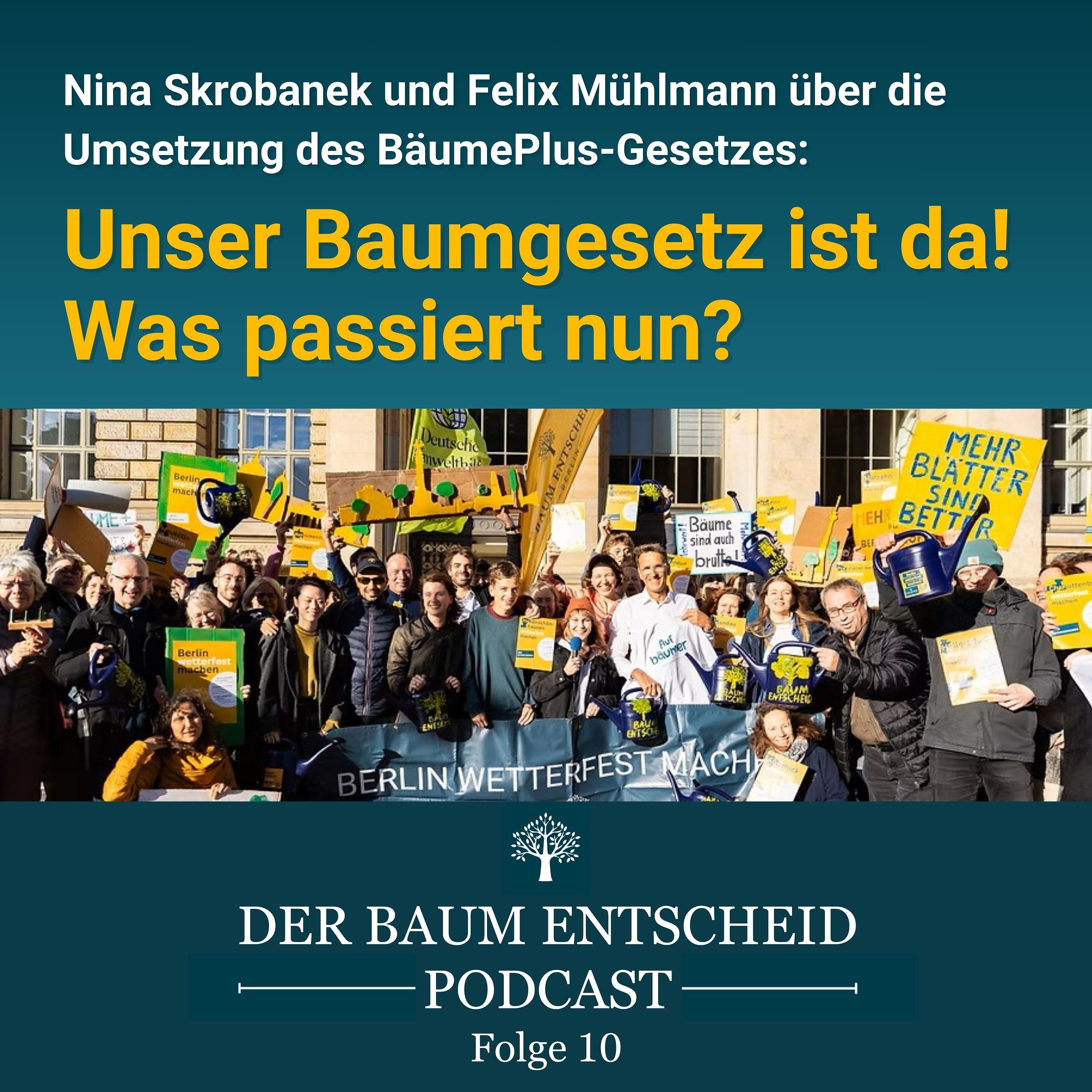 Unser Baumgesetz ist da! Was passiert nun?