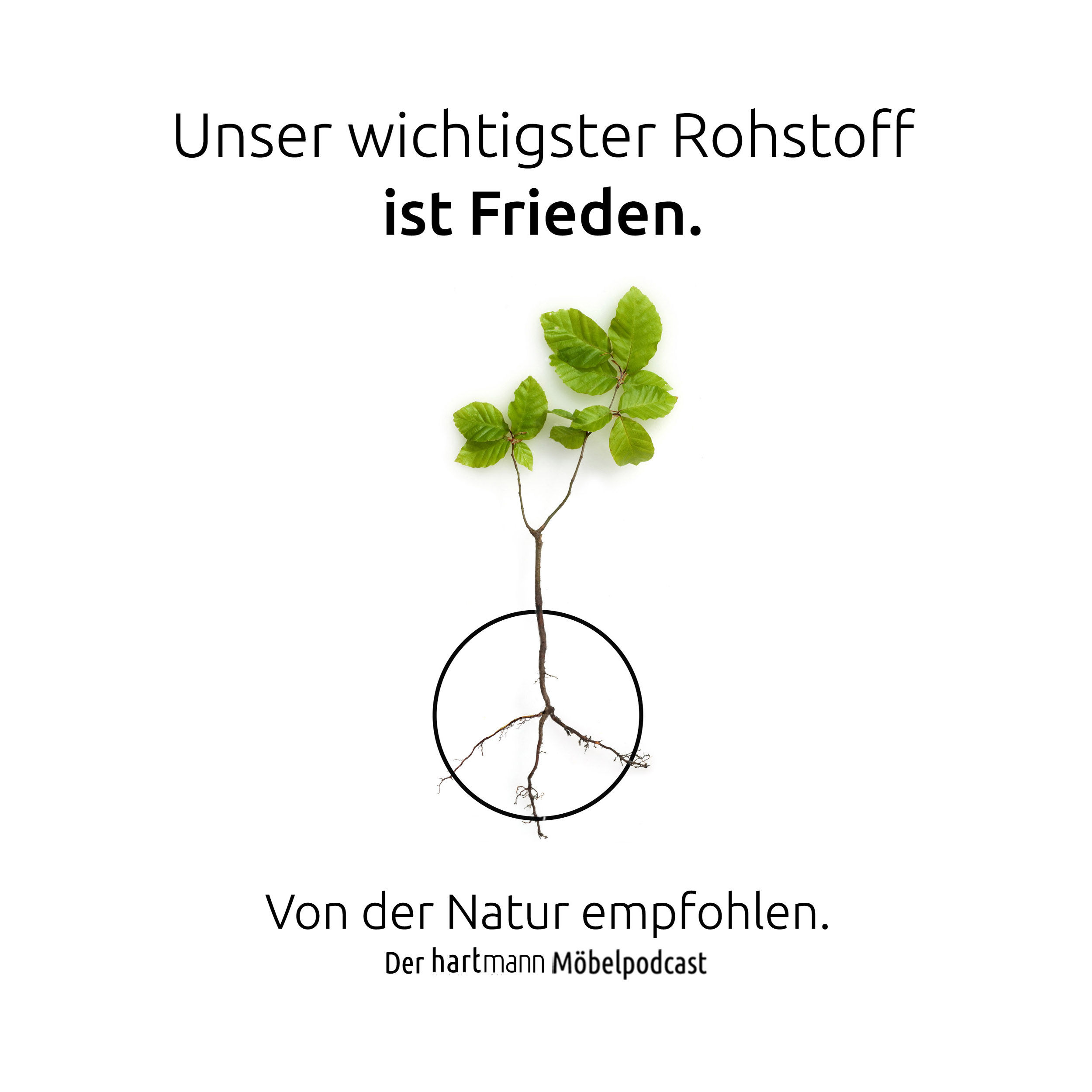 Unser wichtigster Rohstoff ist Frieden