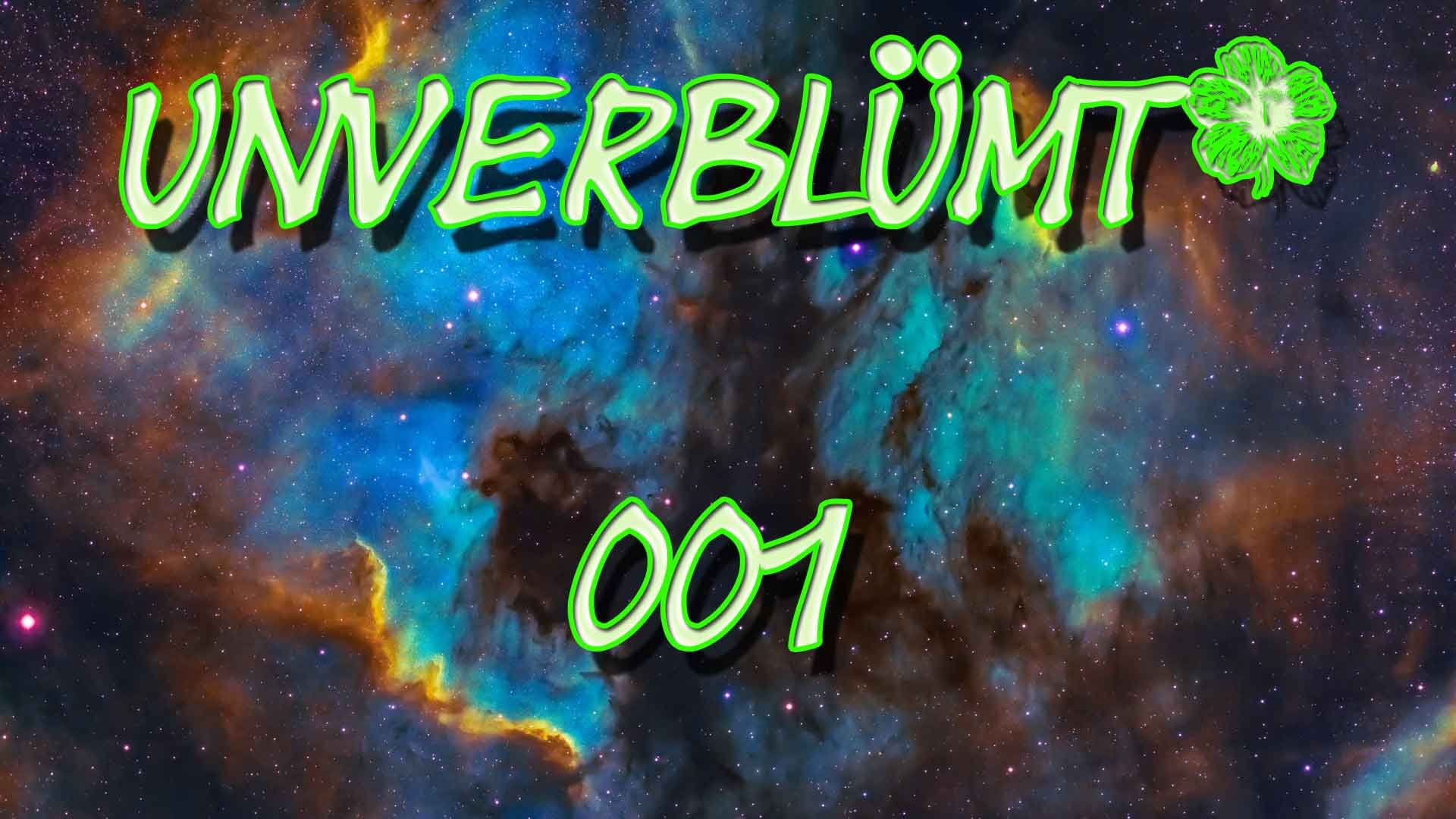 Unverblümt-001 Soziale- Gerechtigkeit das leben am Existenz Minimum