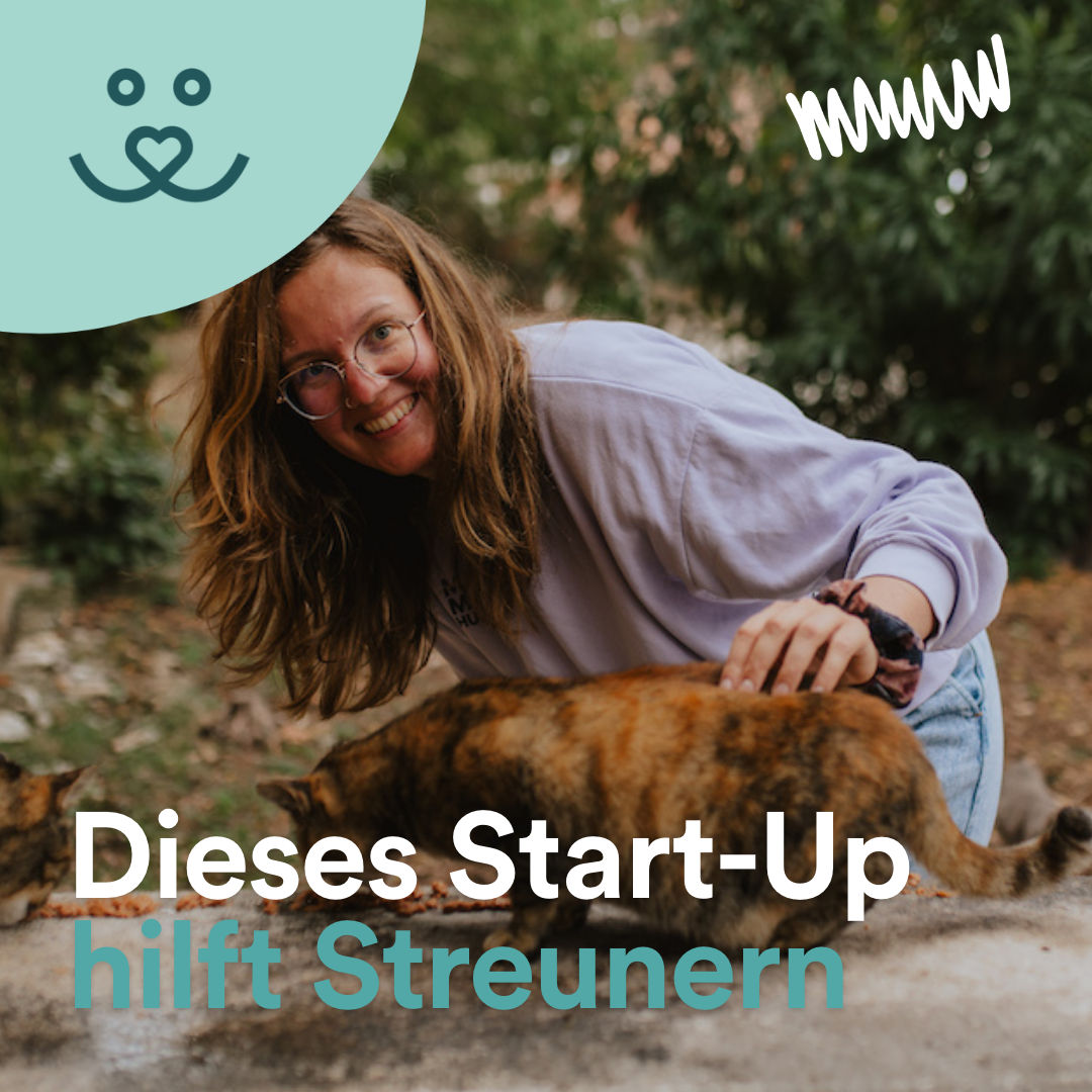 Update No. 79: So will das Start-up STRAYZ mit Tierfutter Streunern helfen 🐈💖