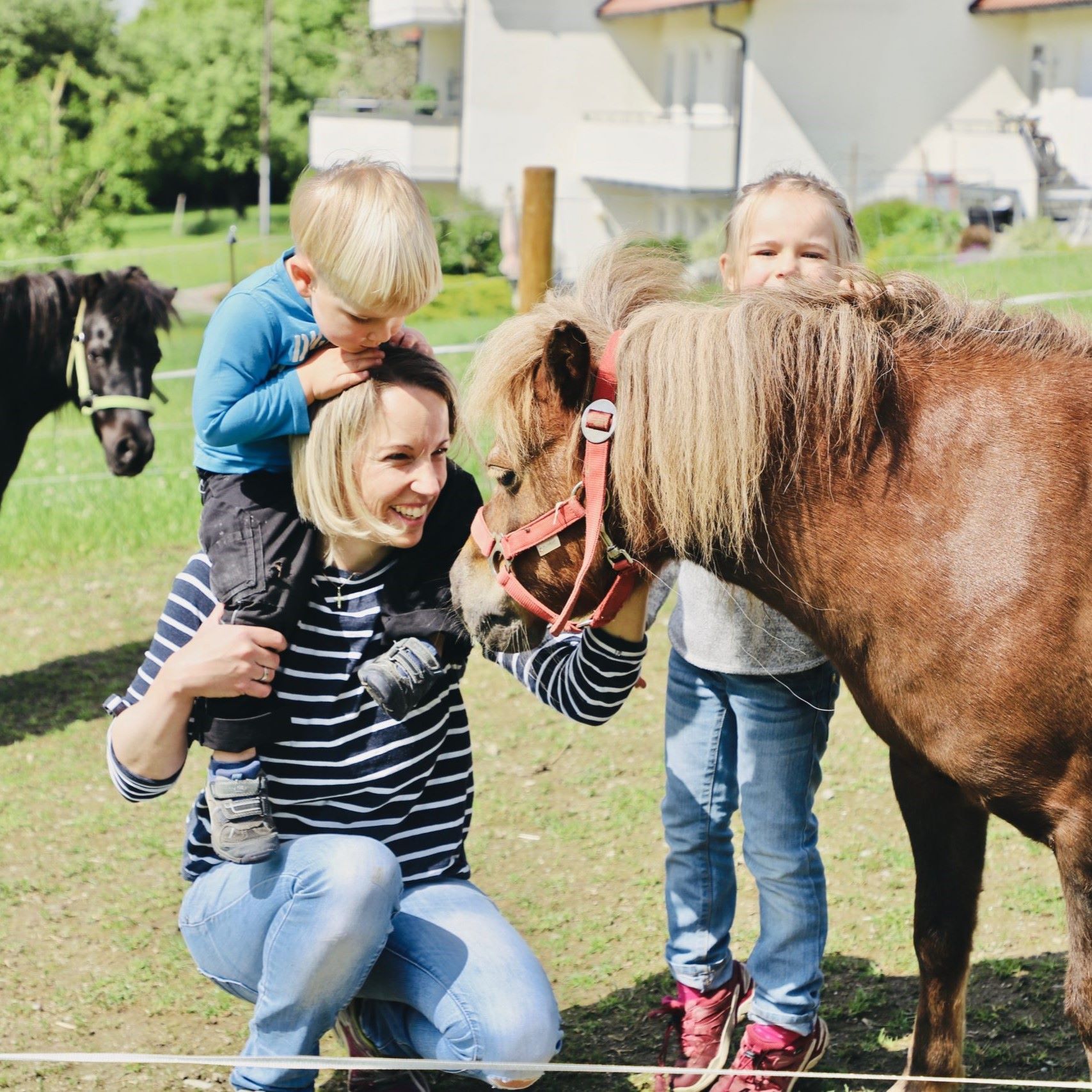 Urlaub im Bodensee-Umland: ECHT nachhaltig