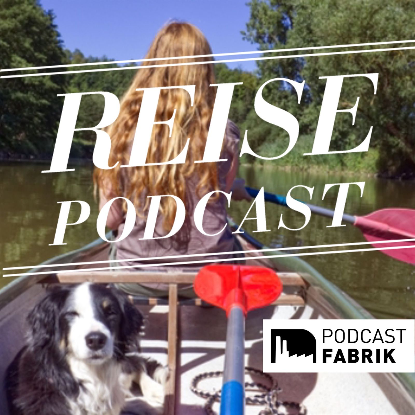 Urlaub mit Hund - Interview mit Tierärztin Sarah