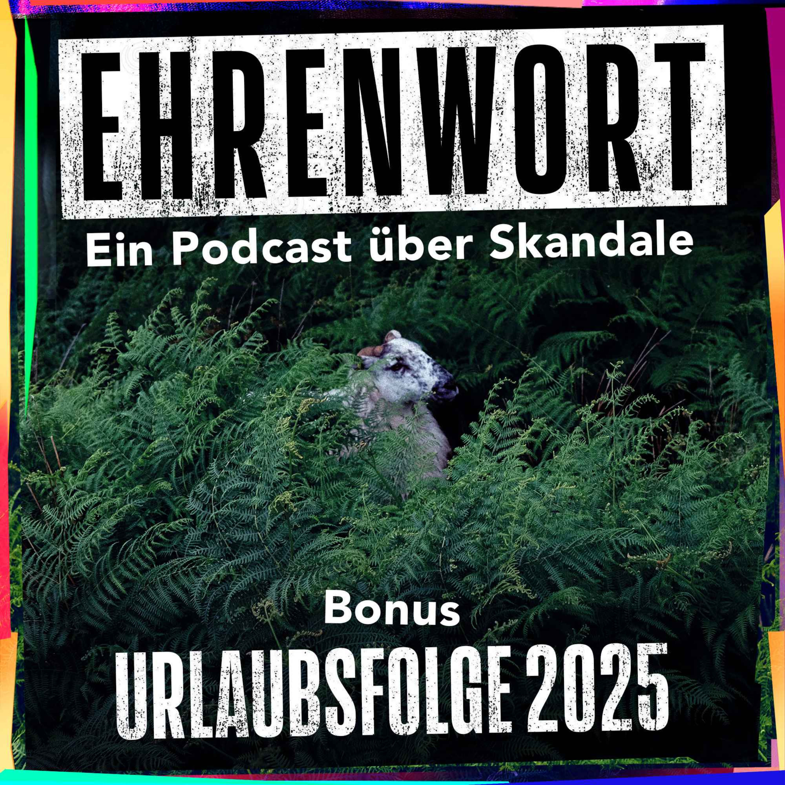 Urlaubsfolge 2025: Die Ehrenwort Sommer Picks