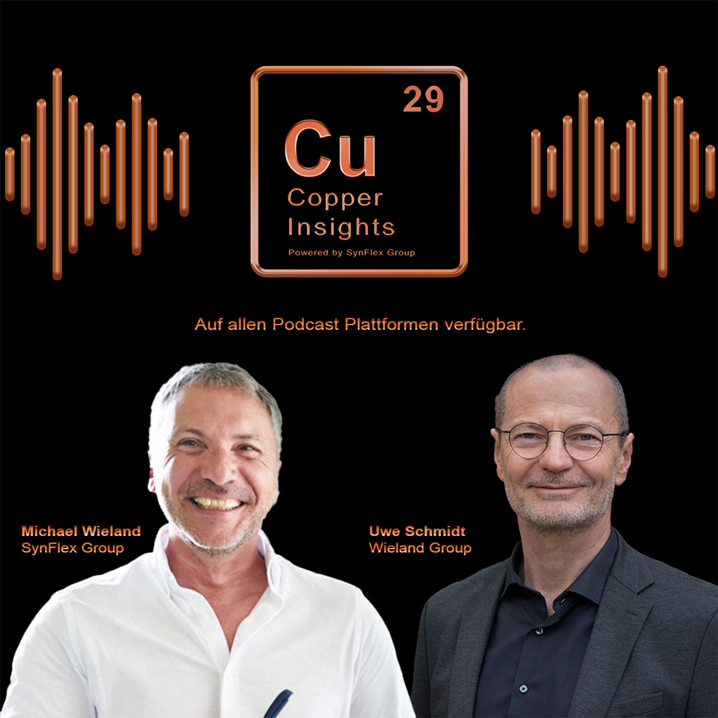Uwe Schmidt - SVP Global Metals Management Wieland Group