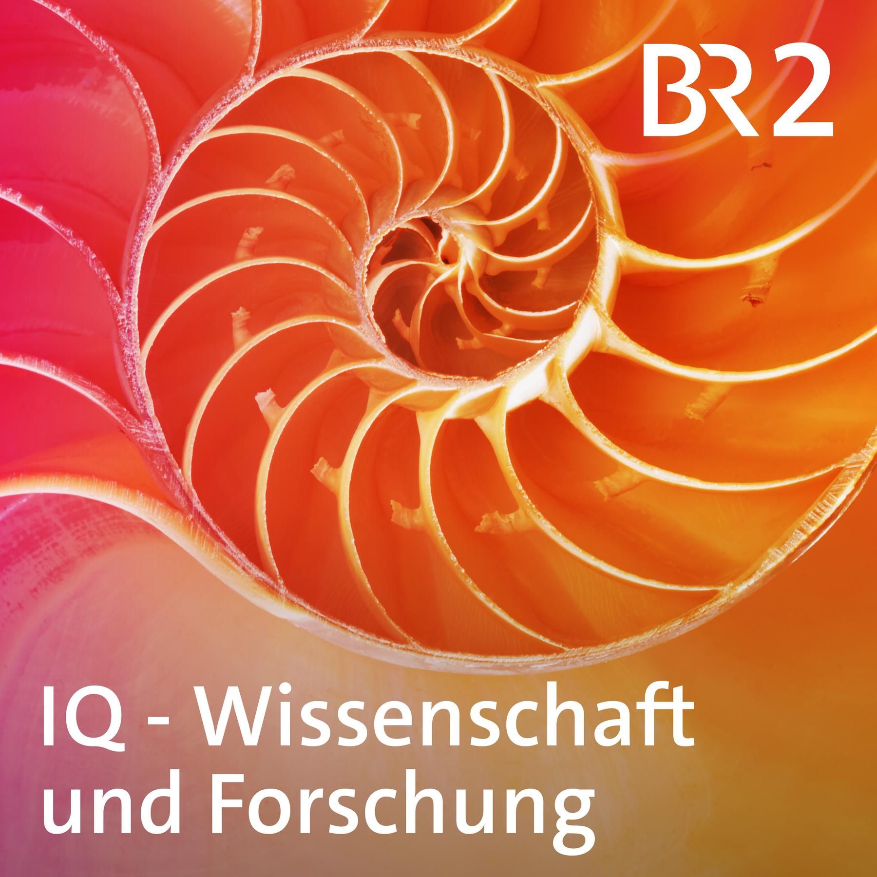 Vagusnerv stimulieren - entspannt das wirklich?
