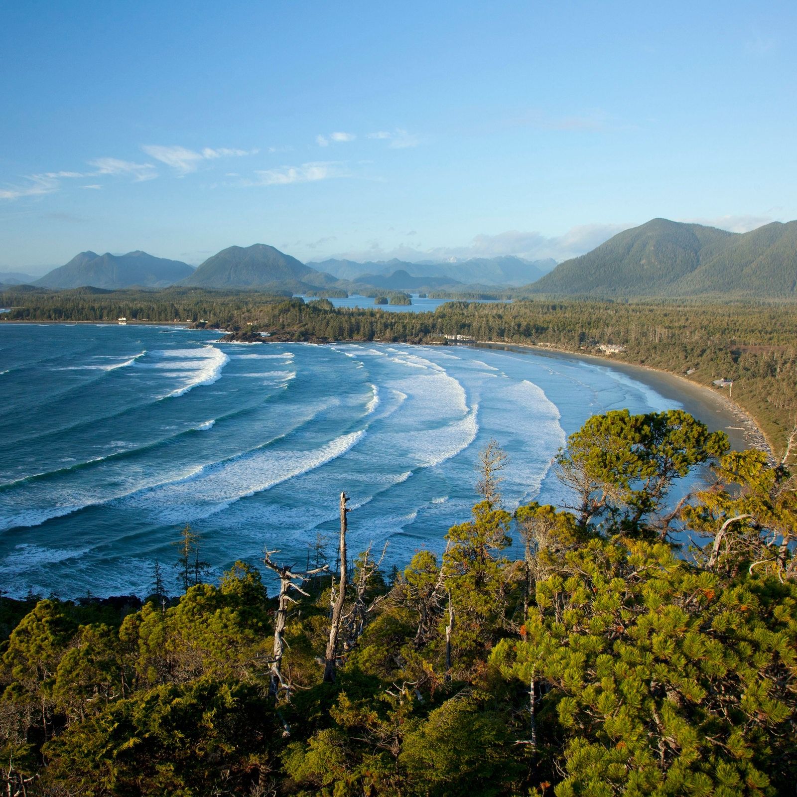 Vancouver Island | Tauziehen um Kanadas Küste