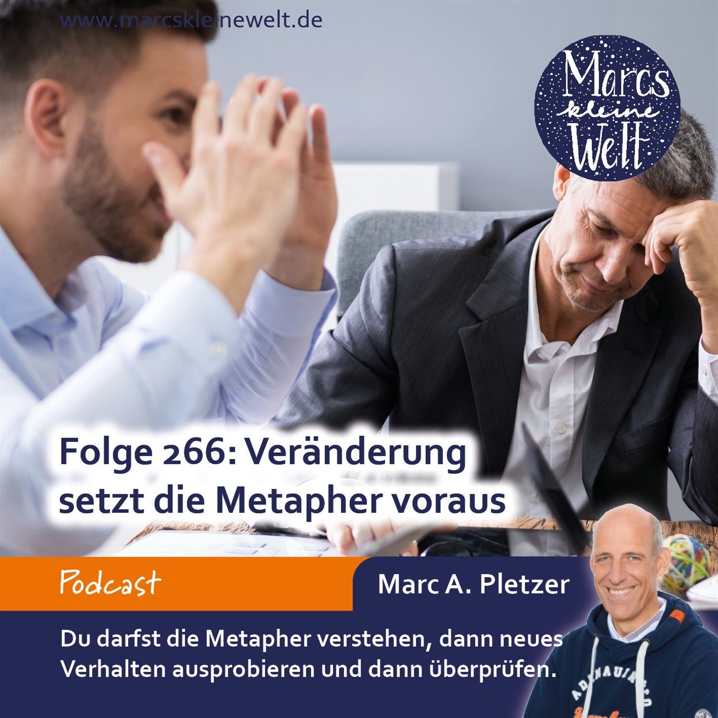 Veränderung setzt die Metapher voraus (265)