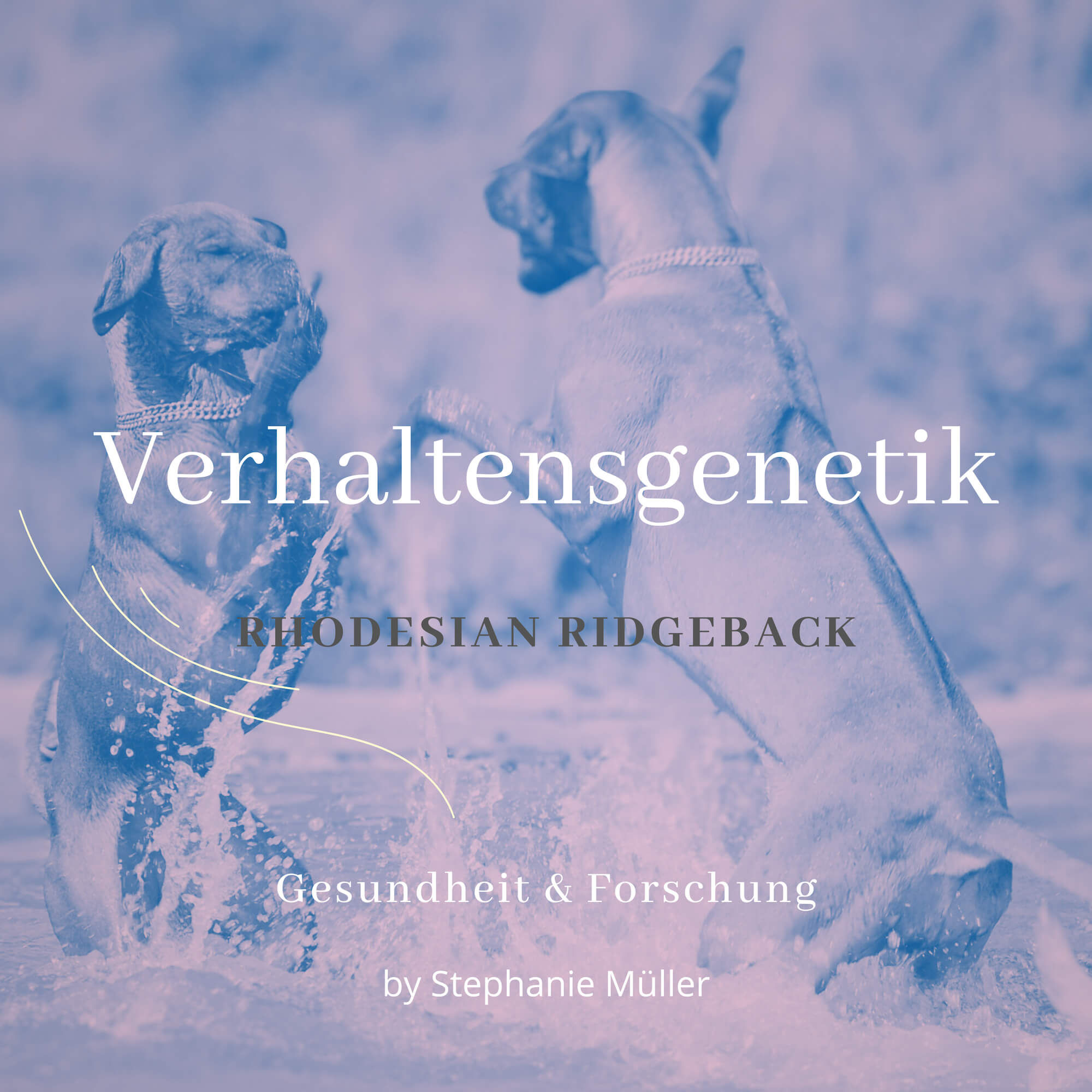 Verhaltensgenetik