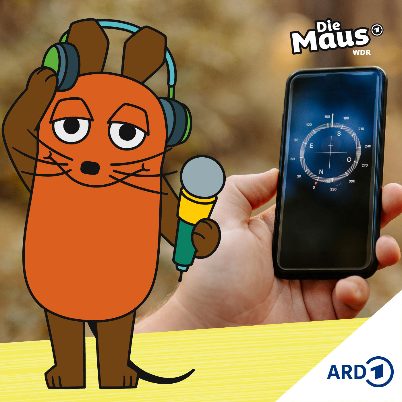 Verirrt im dunklen Wald - Wie die Kompass-App hilft