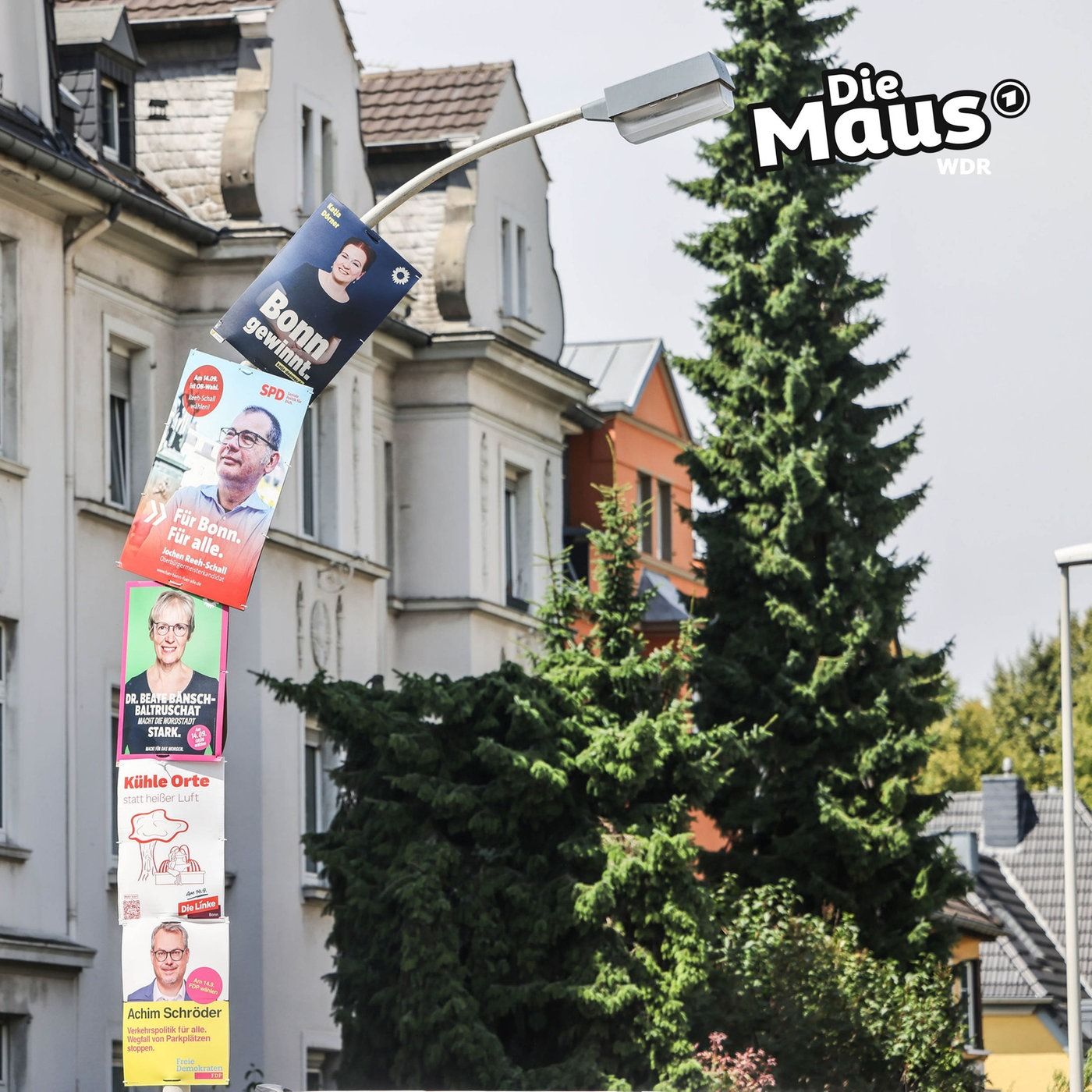 Verkehrsregeln für Wahlwerbung