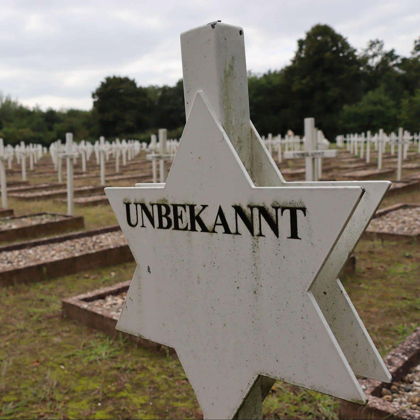 Verpflichtende NS-Gedenkstättenbesuche für Schüler?